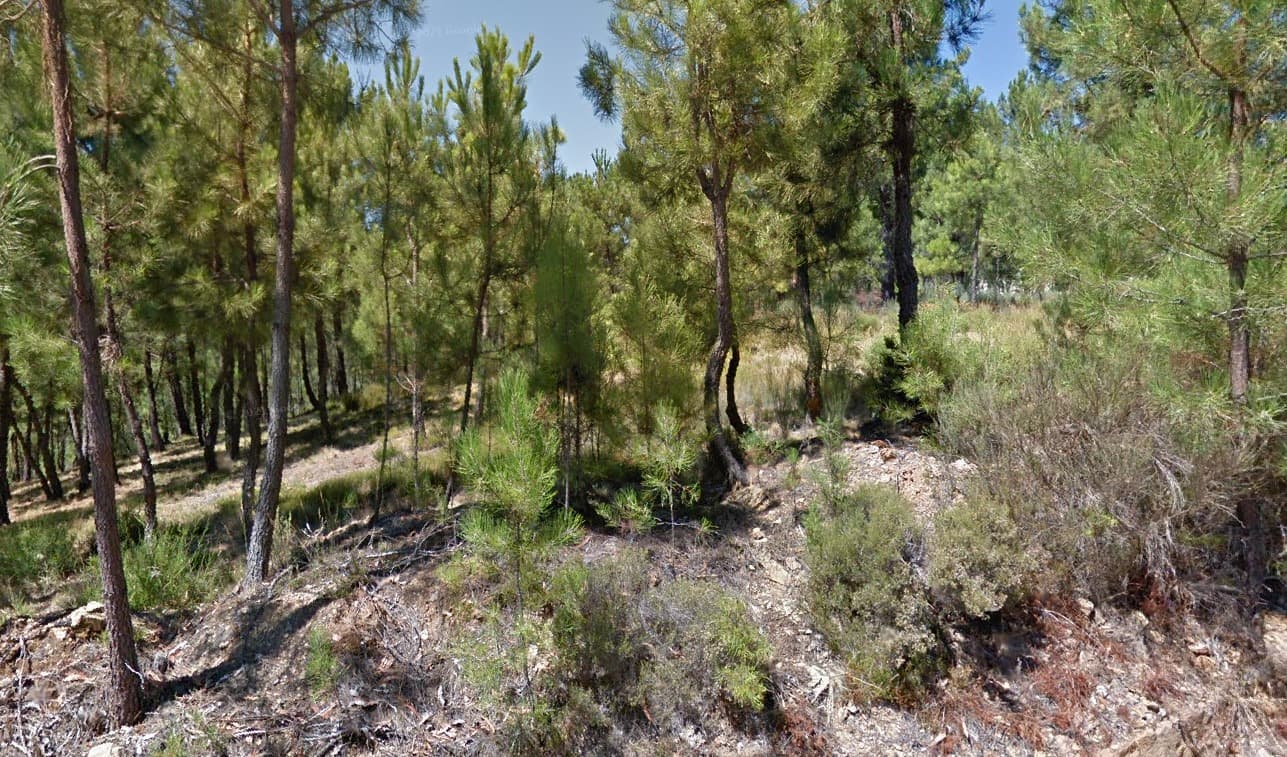 Terrenos · Silvares, Fundão — imagem 12