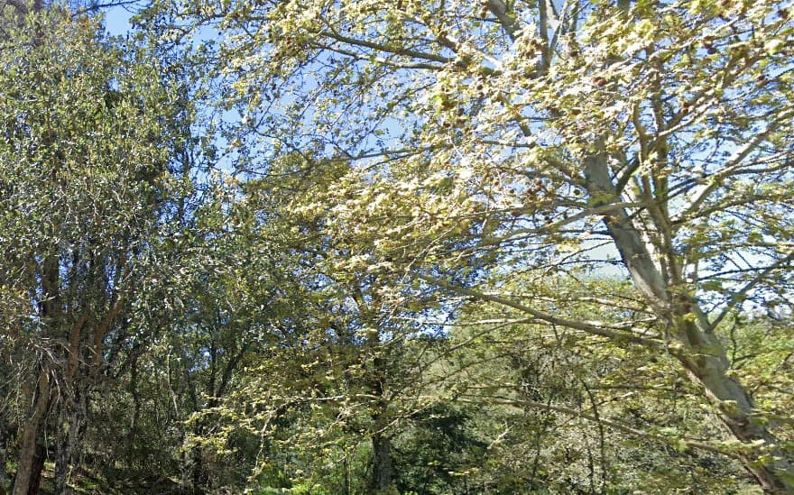 Terrenos · Silvares, Fundão — imagem 9