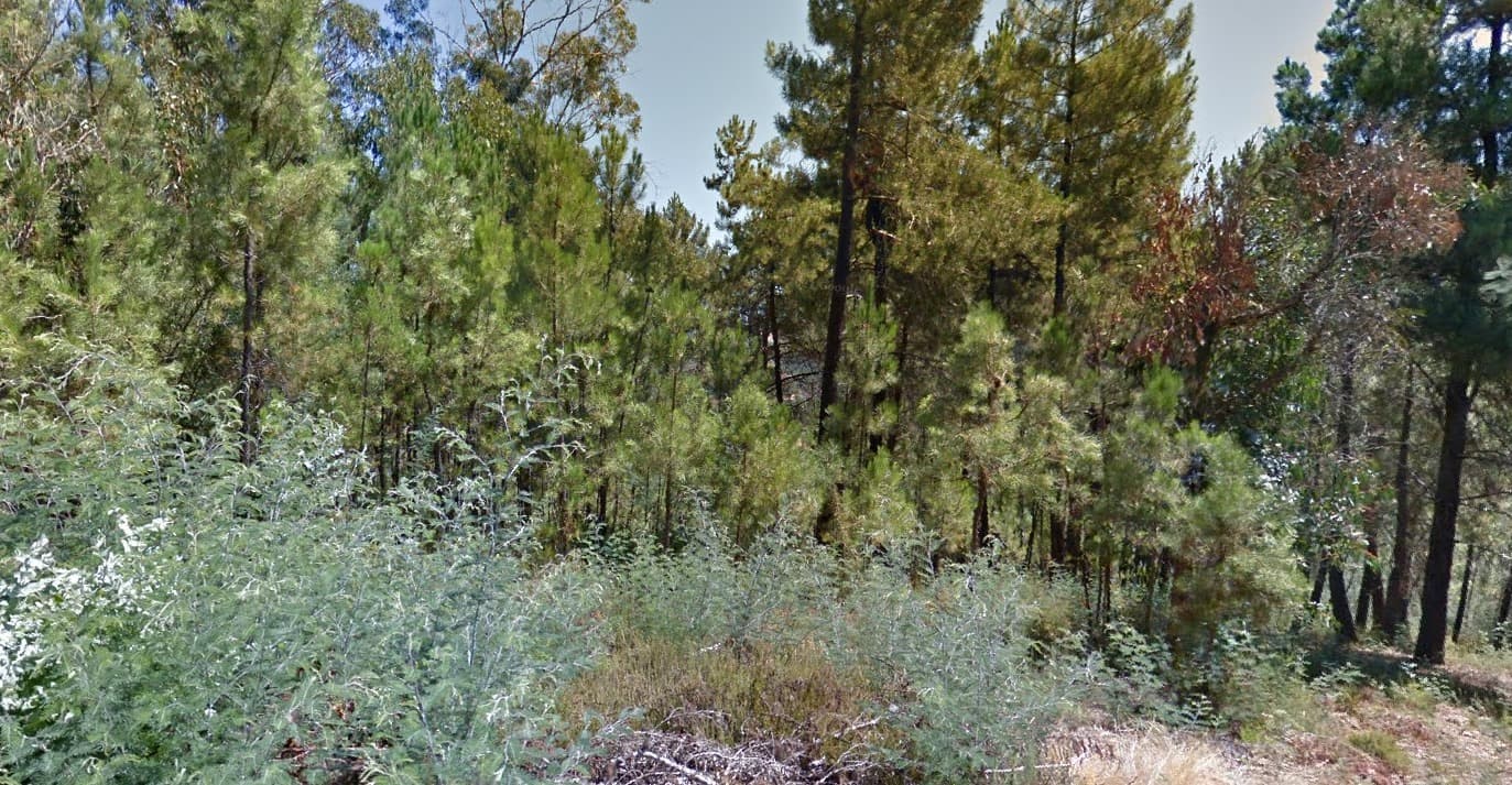 Terrenos · Silvares, Fundão — imagem 11
