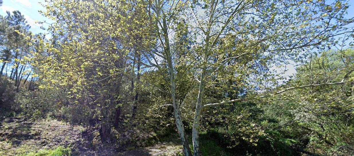 Terrenos · Silvares, Fundão — imagem 7