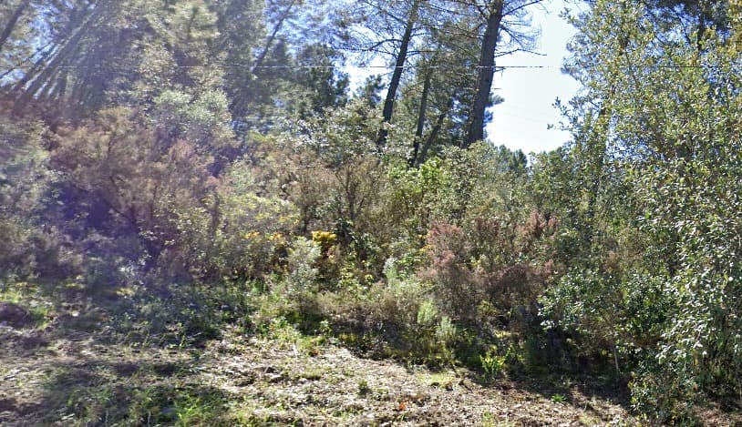 Terrenos · Silvares, Fundão — imagem 5