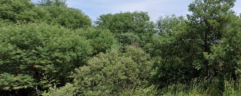 Terrenos · Silvares, Fundão — imagem 3