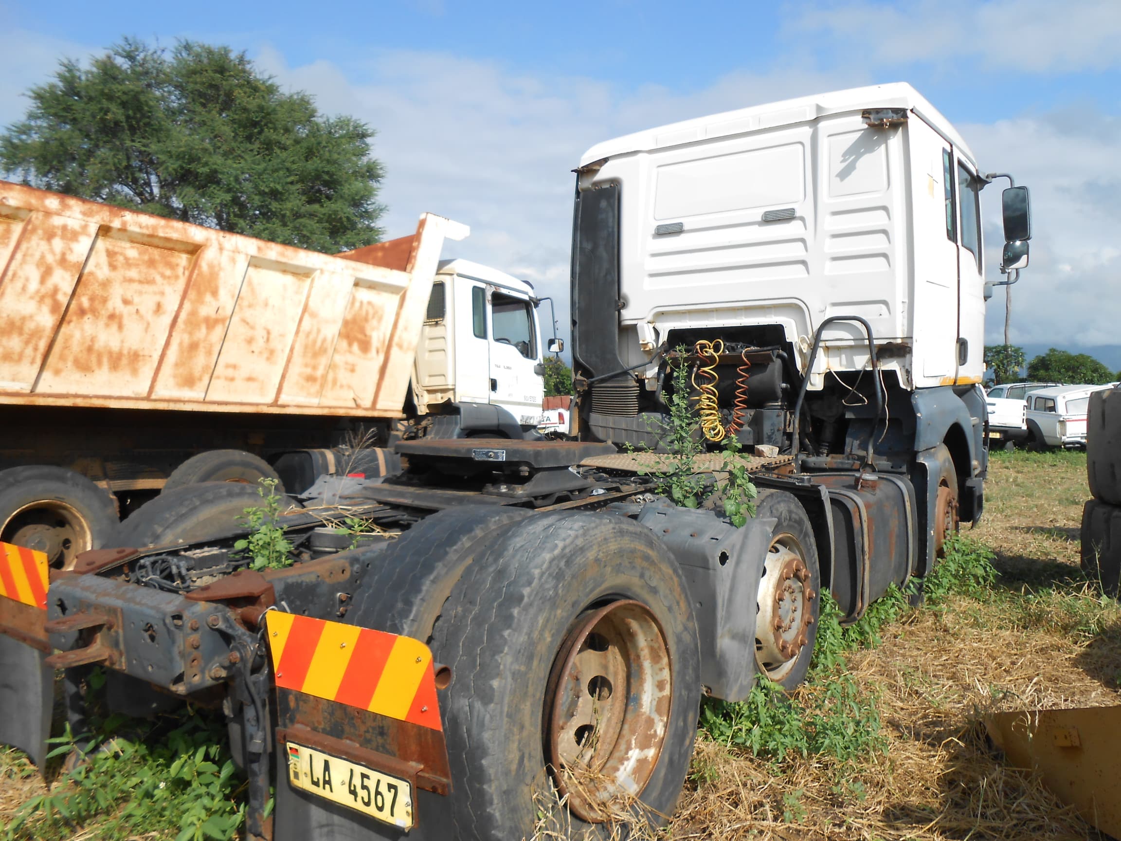 Horse Truck 6X4 — image 3