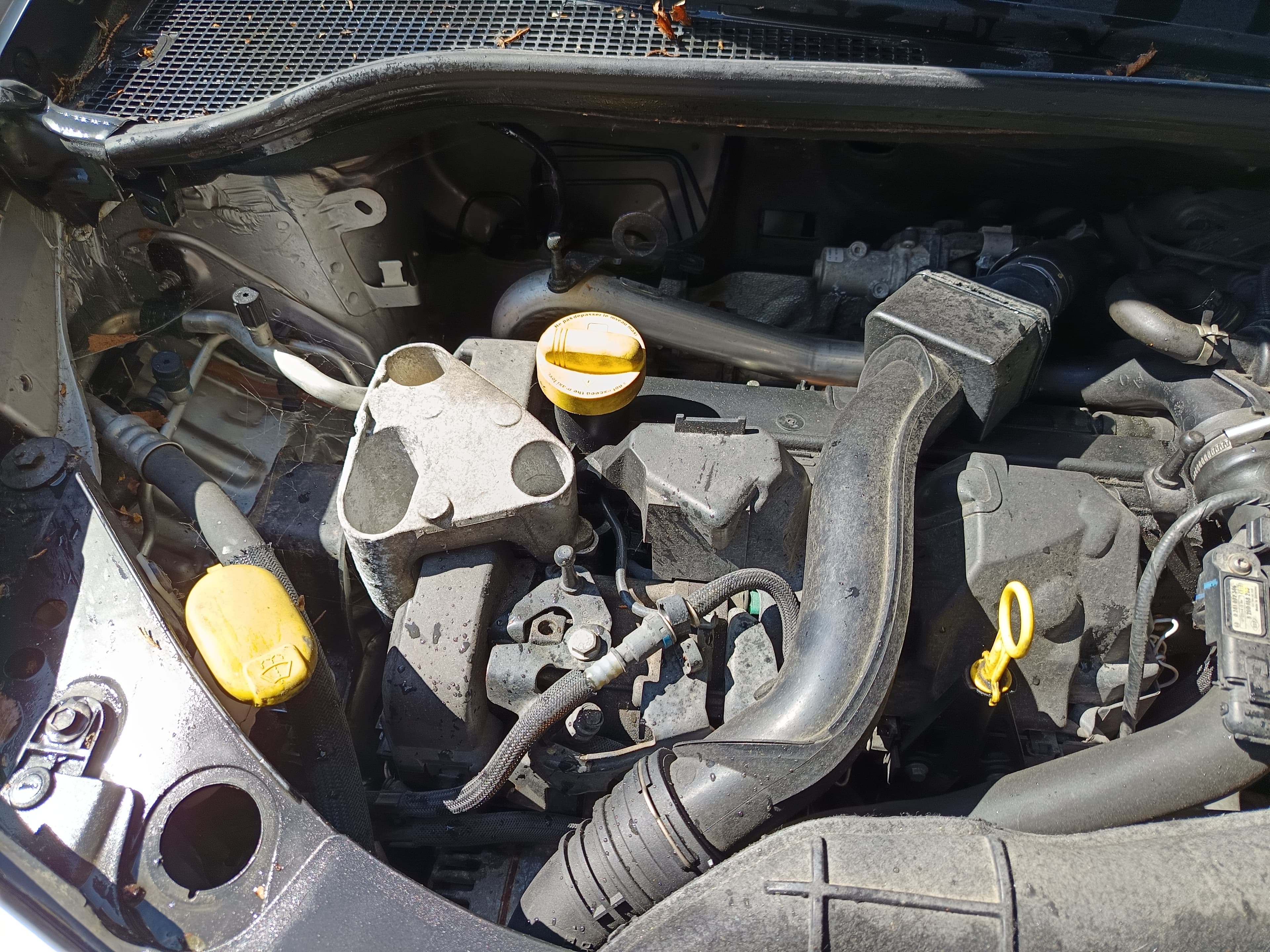 Renault Clio 1.5 dCi · Ano 2008 — imagem 19
