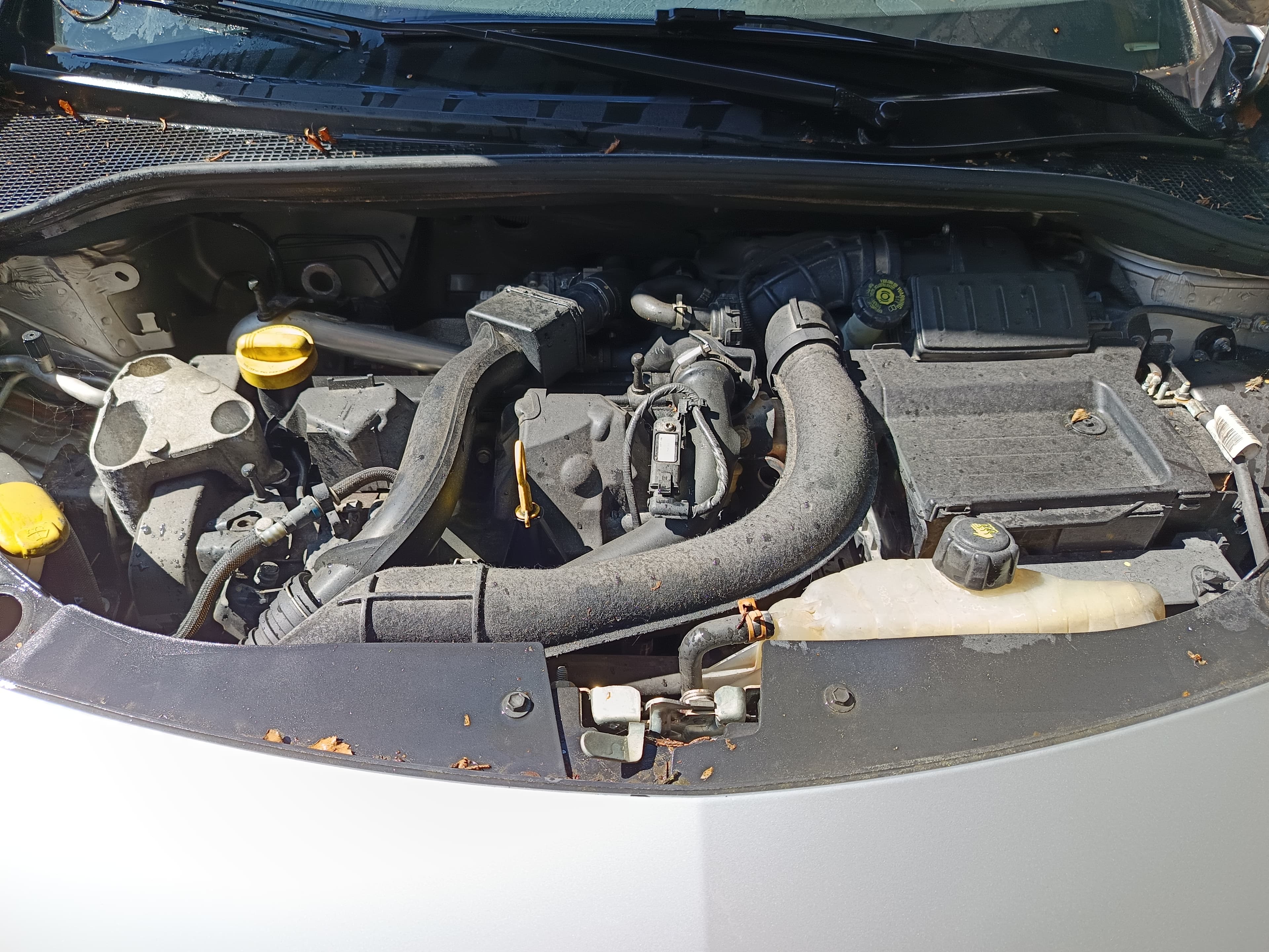 Renault Clio 1.5 dCi · Ano 2008 — imagem 18