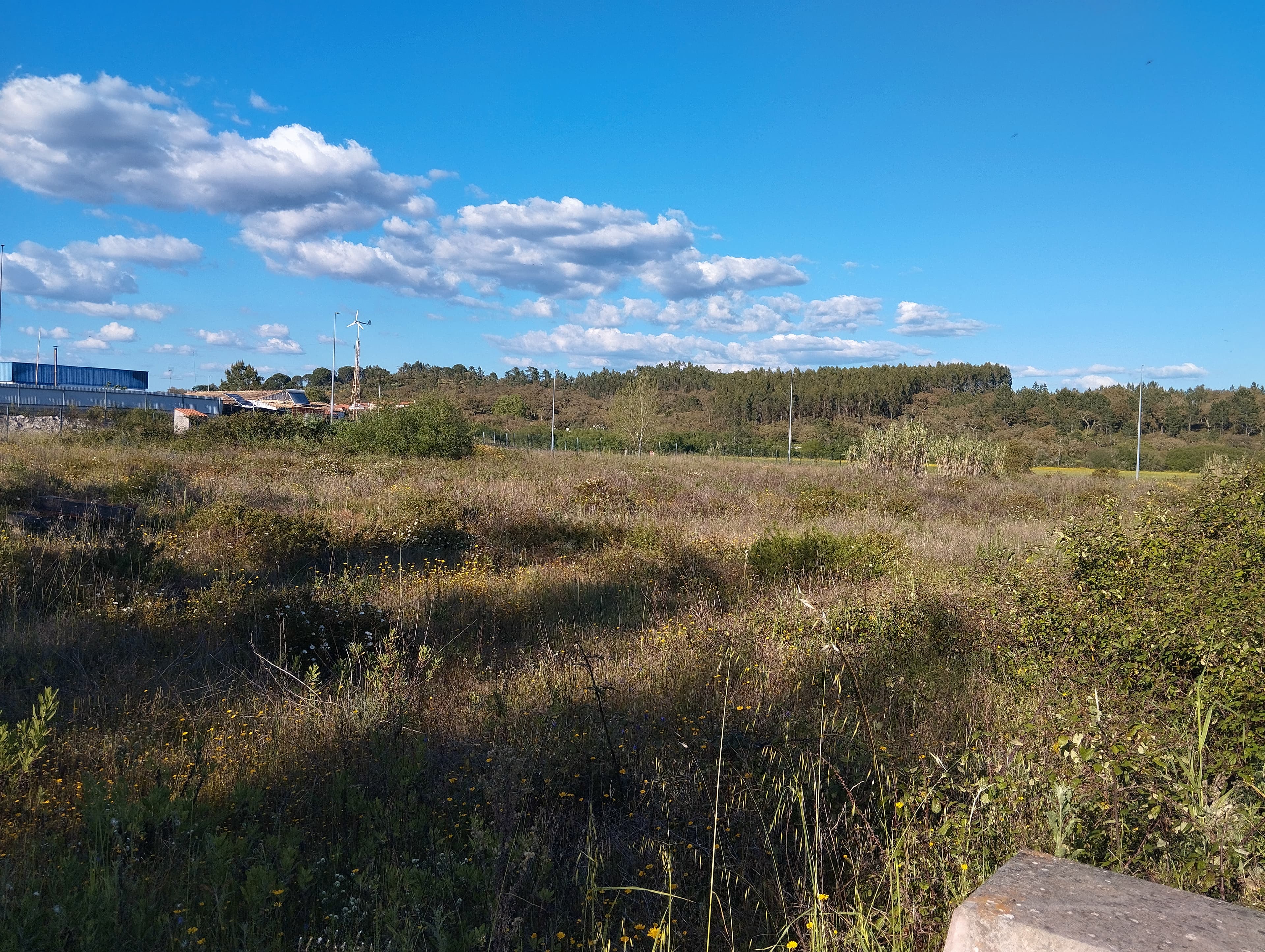 Lote para Construção · Chamusca, Santarém — image 2