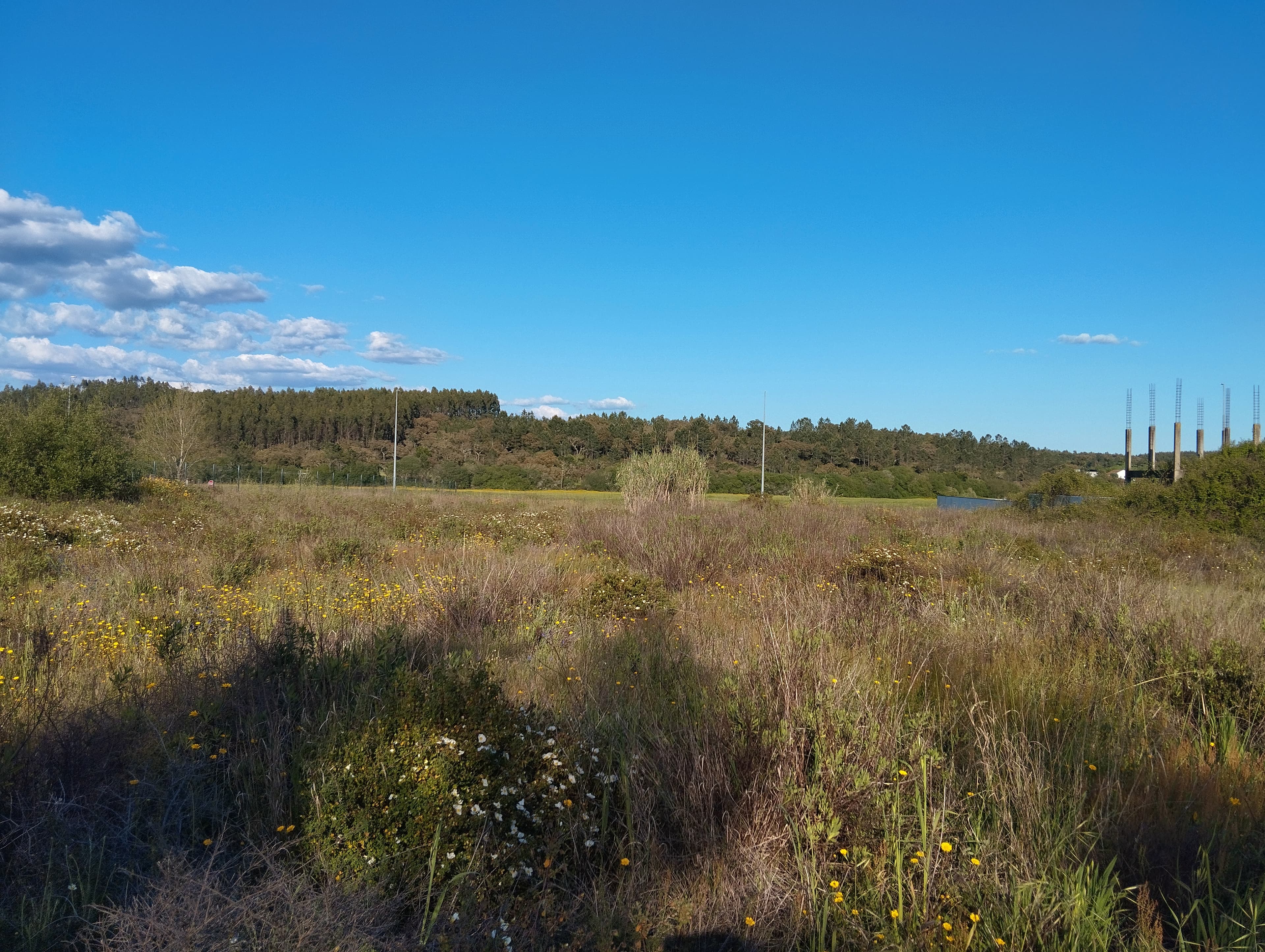 Lote para Construção · Chamusca, Santarém — image 3