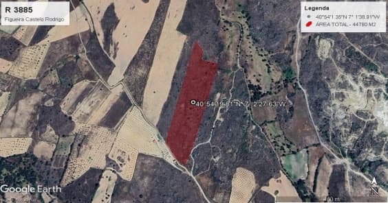 Terreno com +4 hectares · Figueira de Castelo Rodrigo — image 8