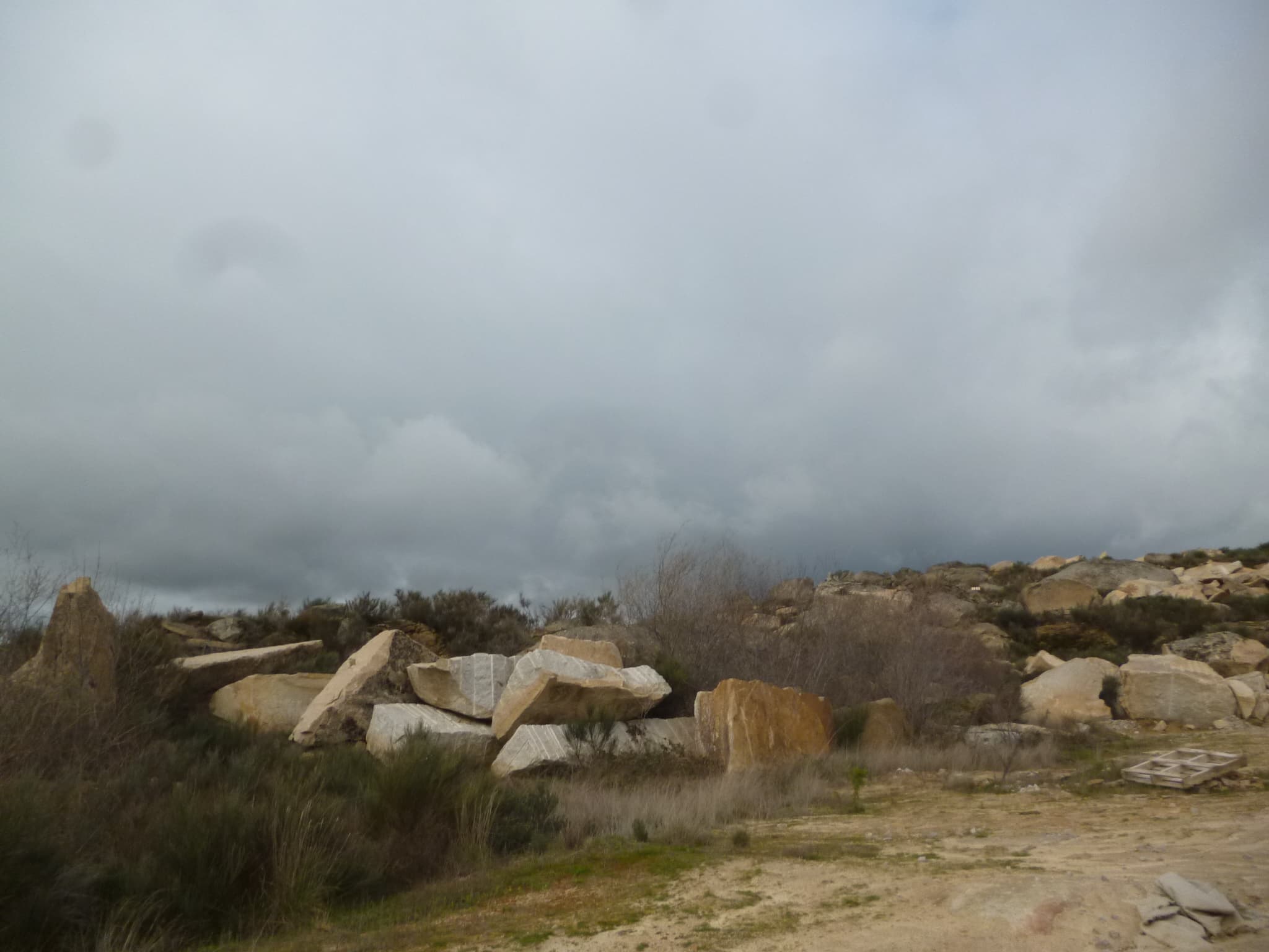 Terreno com +4 hectares · Figueira de Castelo Rodrigo — image 6