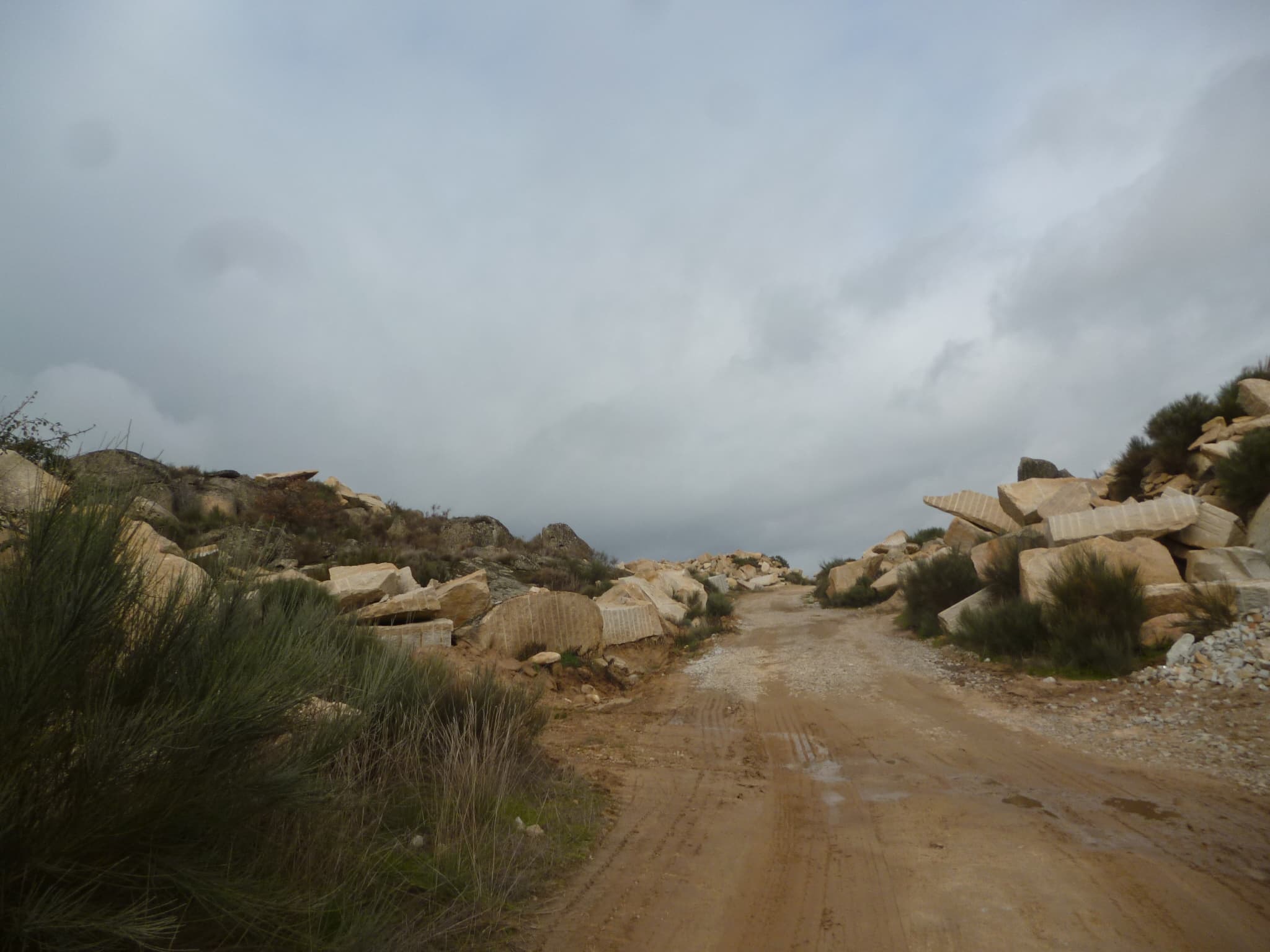 Terreno com +4 hectares · Figueira de Castelo Rodrigo — image 4