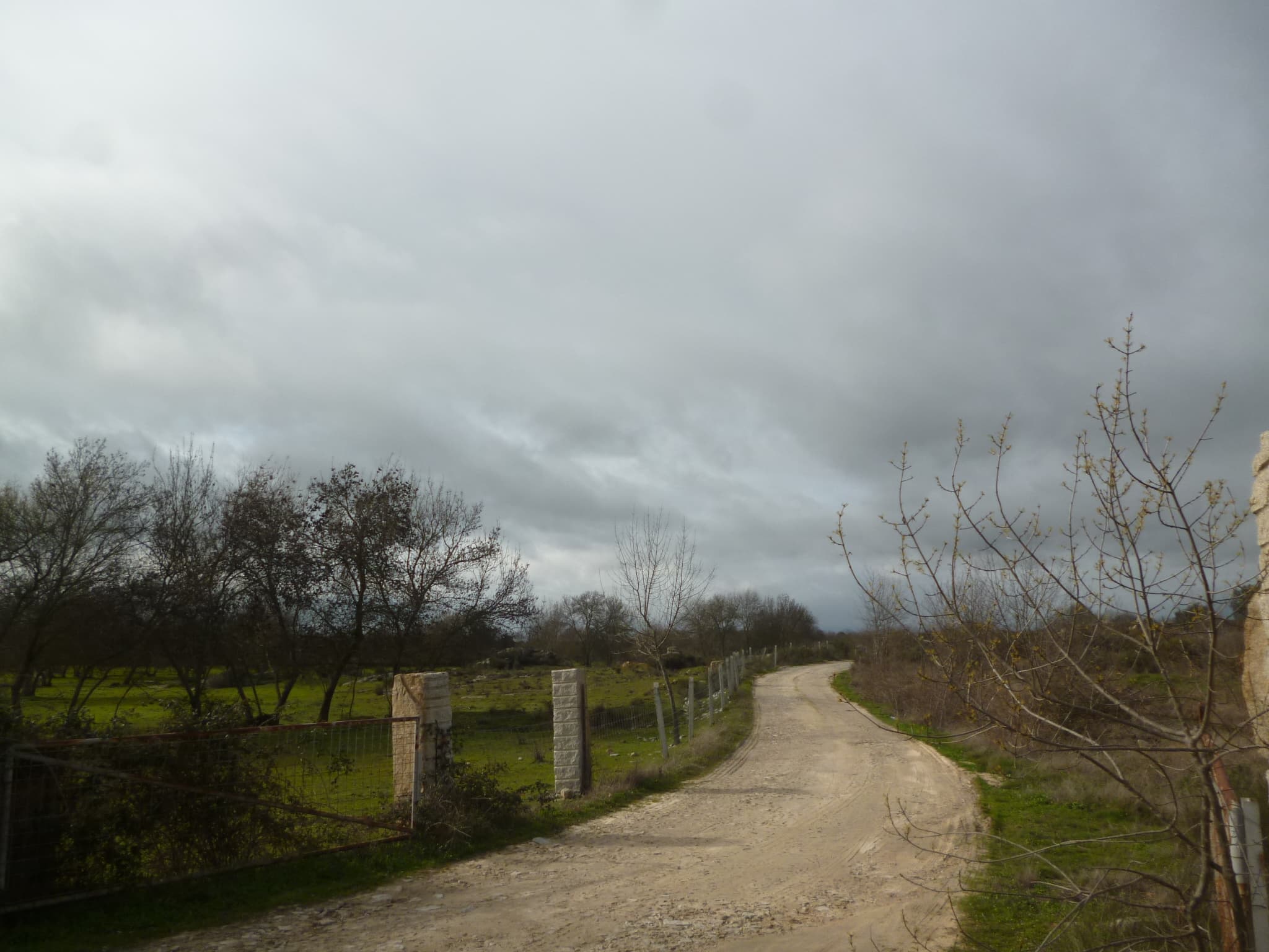 Terreno com +29 hectares · Figueira de Castelo Rodrigo — imagem 1
