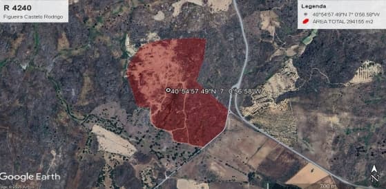 Terreno com +29 hectares · Figueira de Castelo Rodrigo — imagem 10