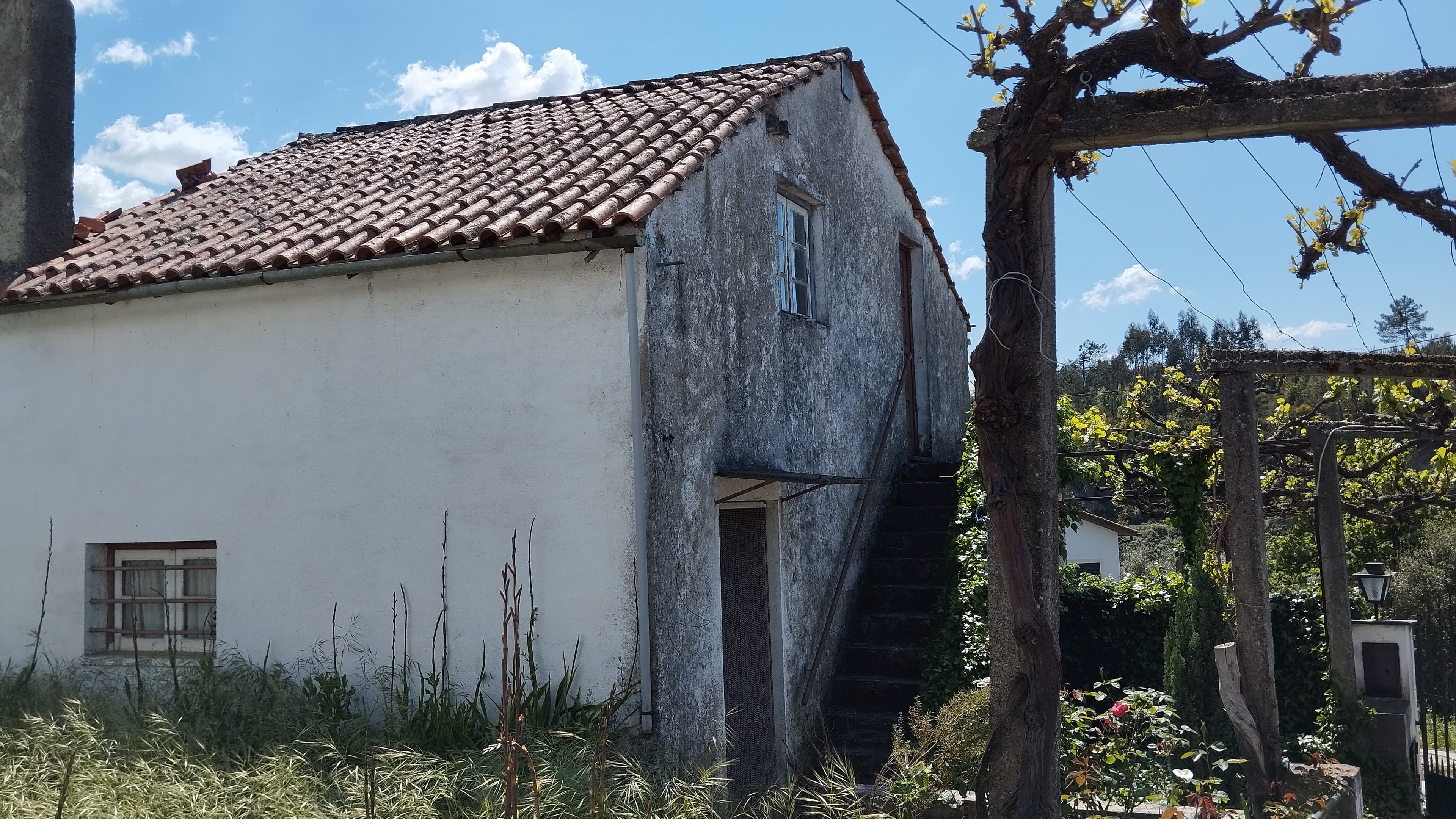 Quinhão Hereditário · Arganil — image 4
