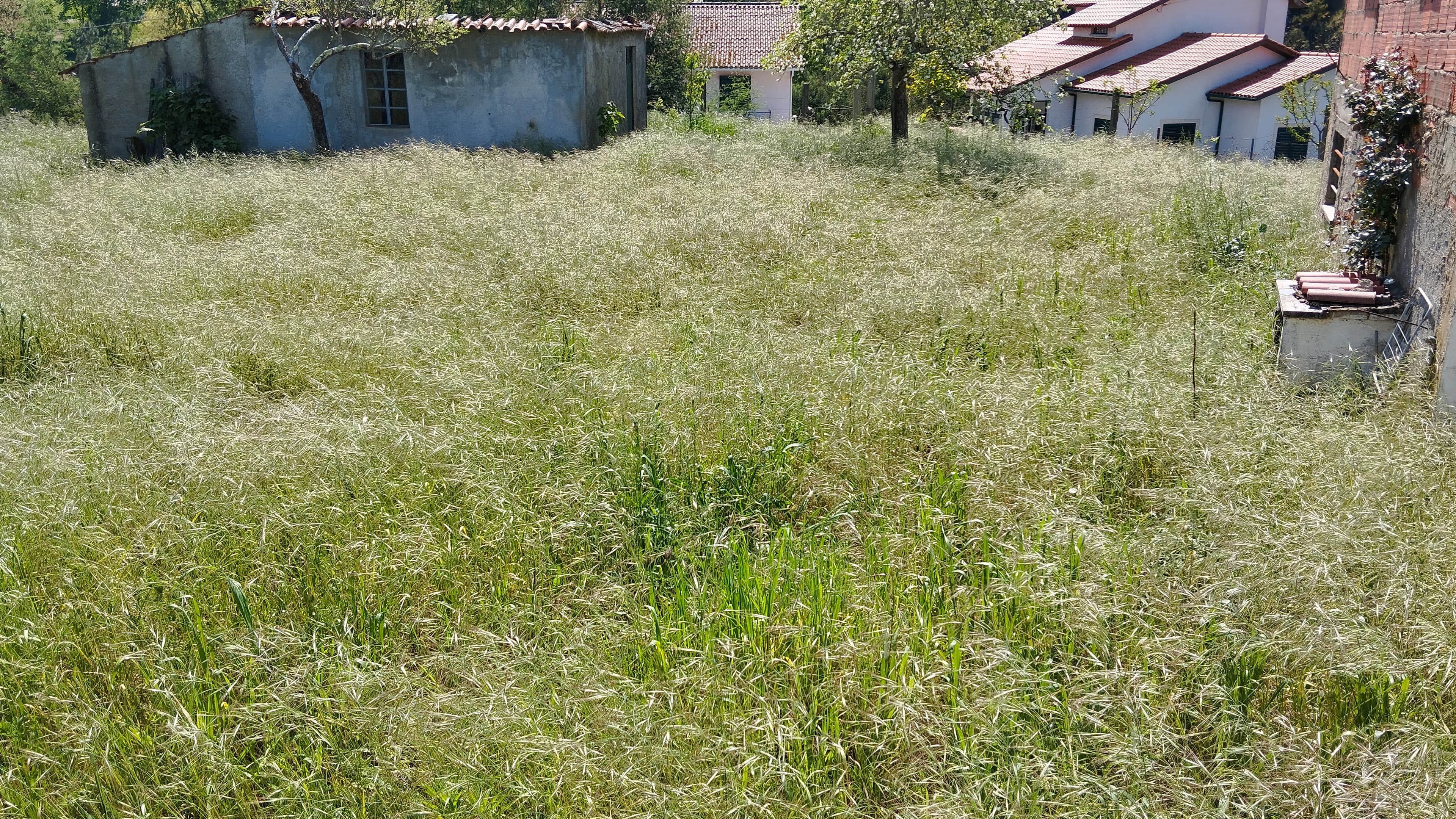 Quinhão Hereditário · Arganil — image 9