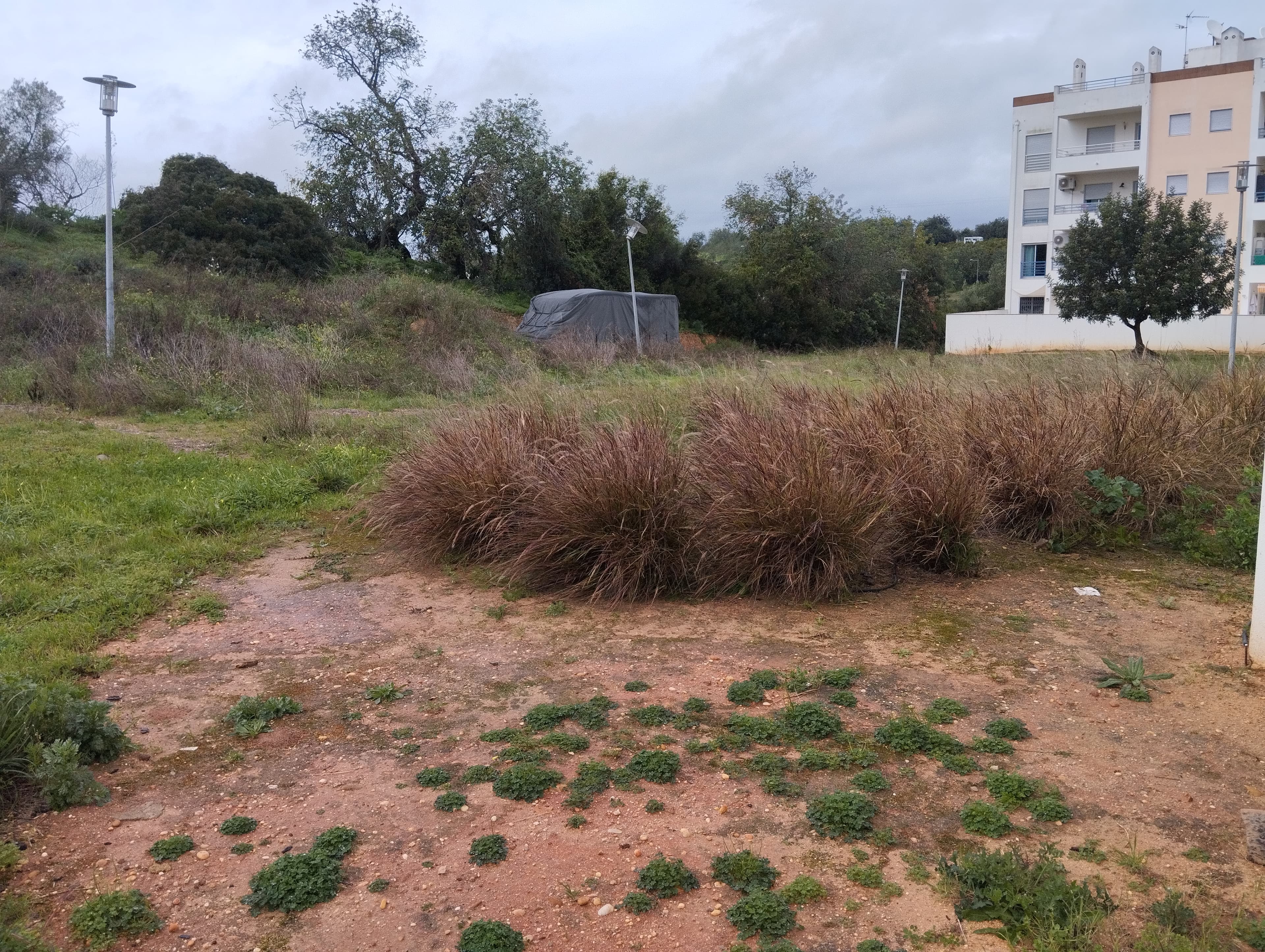 Terreno para Construção · Tavira — image 4