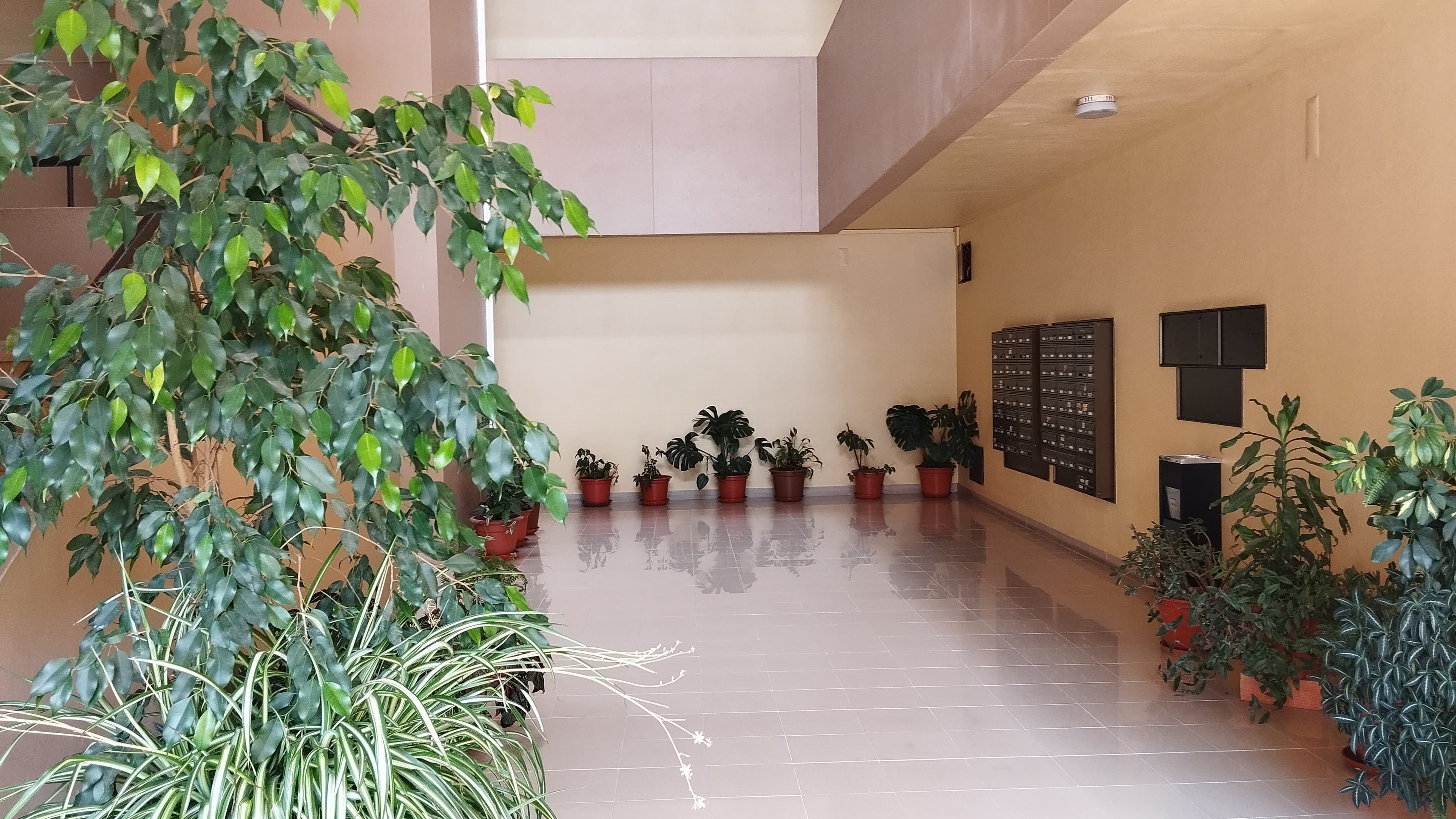 Apartamento T3 + Garagem · Coimbra — imagem 6