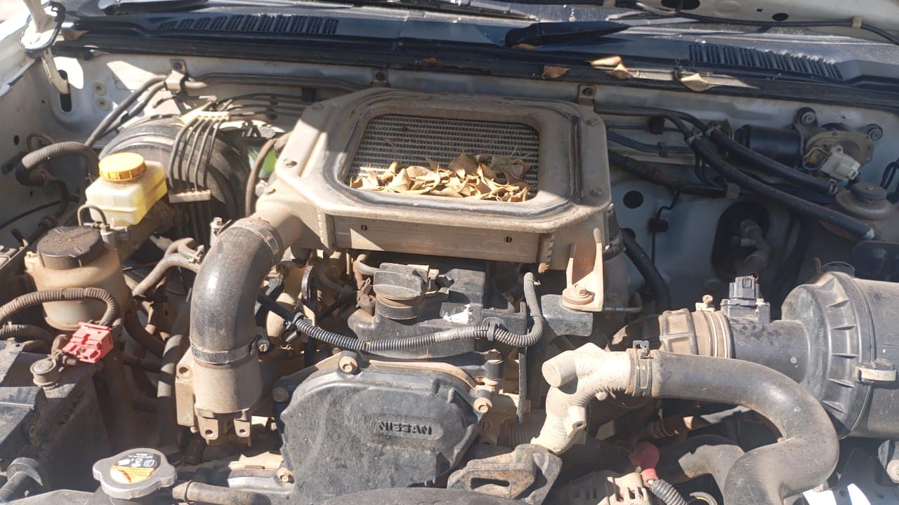 Nissan/Hardbody NPR 300 - 2017 — imagen 32