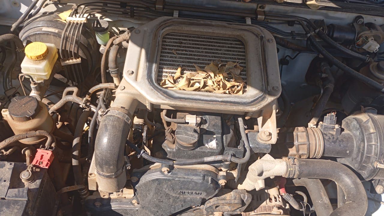 Nissan/Hardbody NPR 300 - 2017 — imagen 33