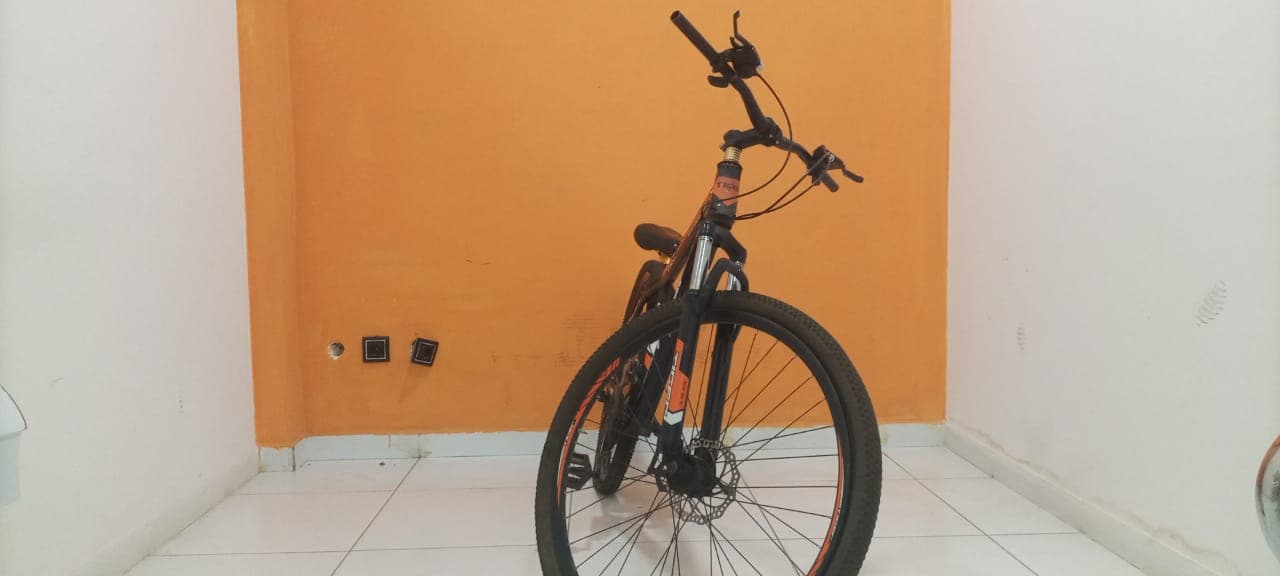 Bicicleta Lucky Tiger — imagem 7