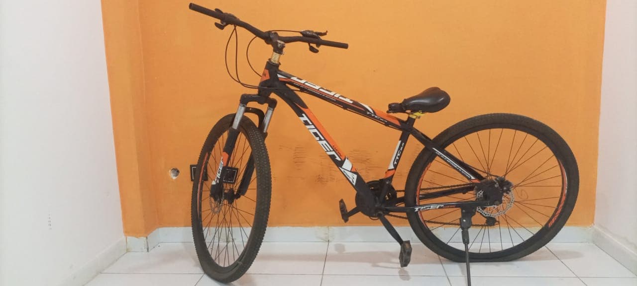 Bicicleta Lucky Tiger — imagem 4
