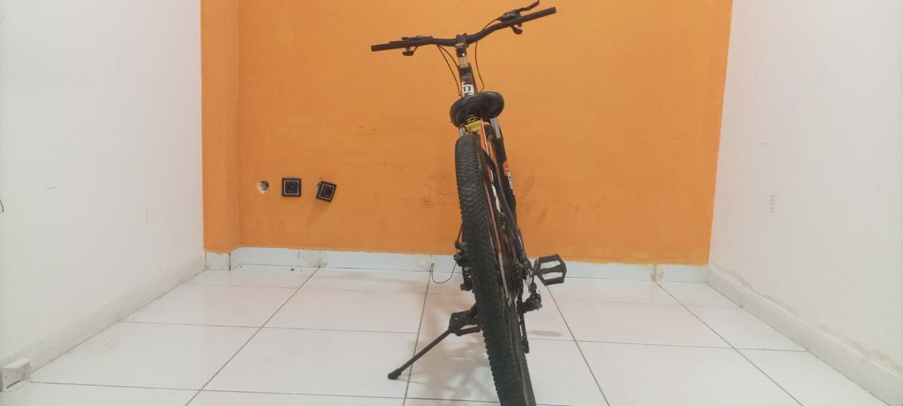 Bicicleta Lucky Tiger — imagem 6