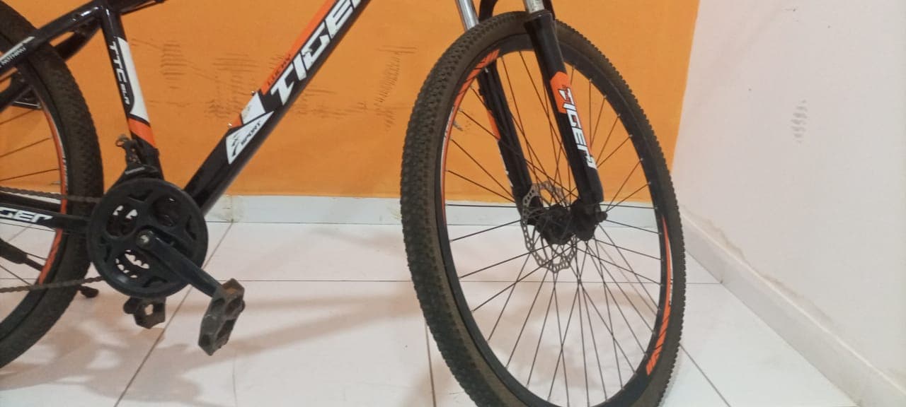 Bicicleta Lucky Tiger — imagem 2