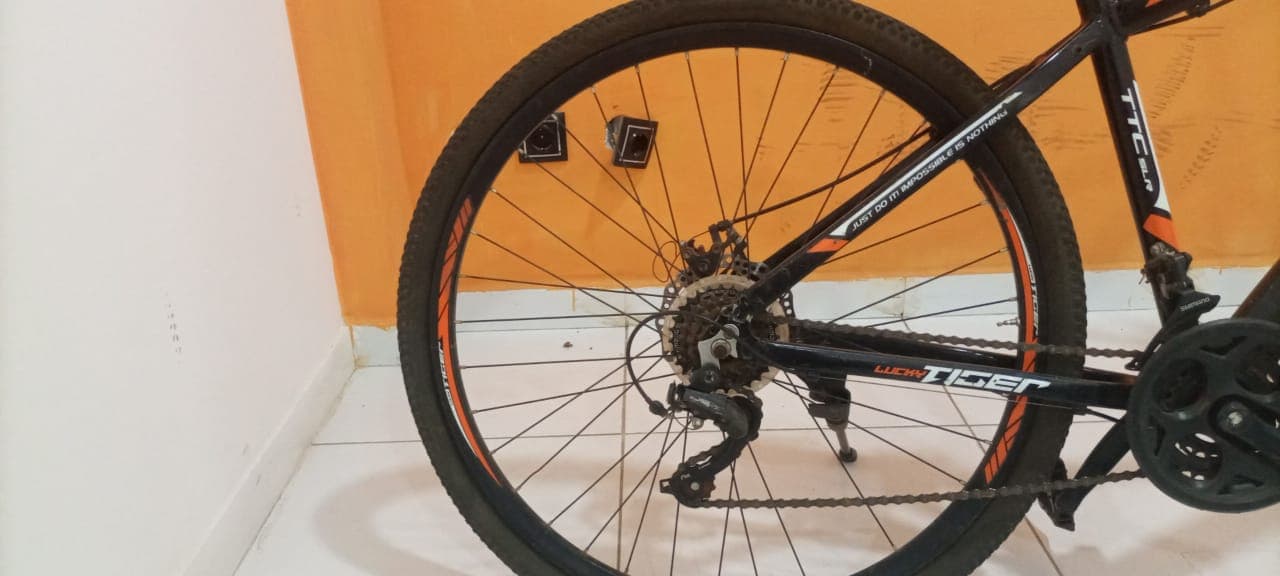 Bicicleta Lucky Tiger — imagem 3