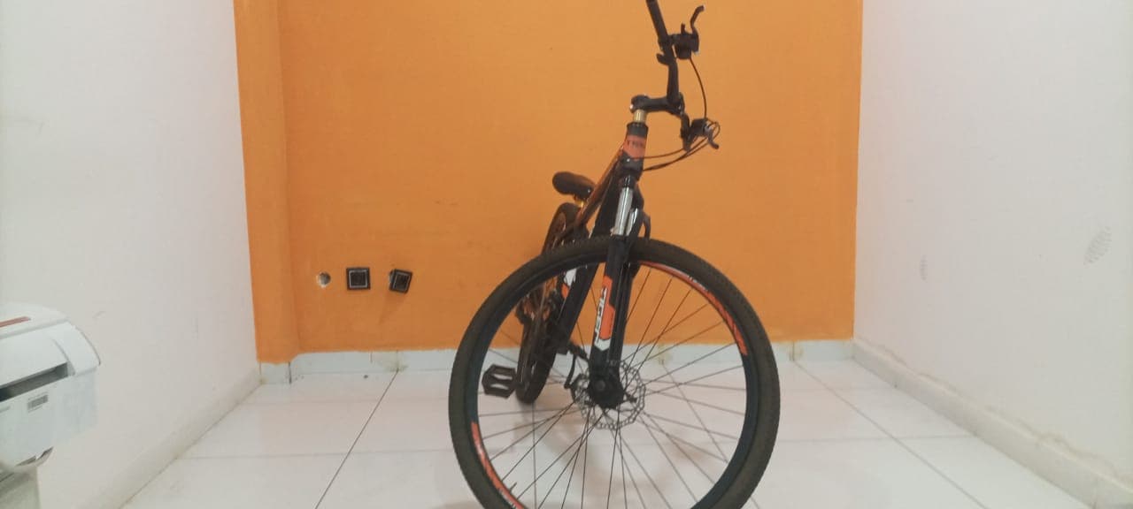 Bicicleta Lucky Tiger — imagem 5