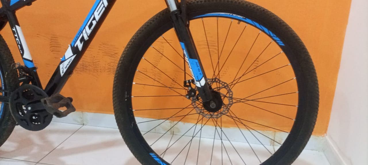Bicicleta Lucky Tiger — imagem 2