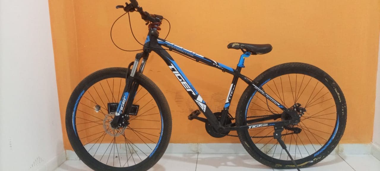 Bicicleta Lucky Tiger — imagem 5