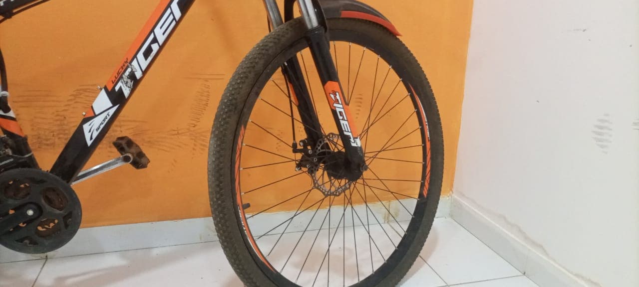 Vélo Lucky Tiger — image 3