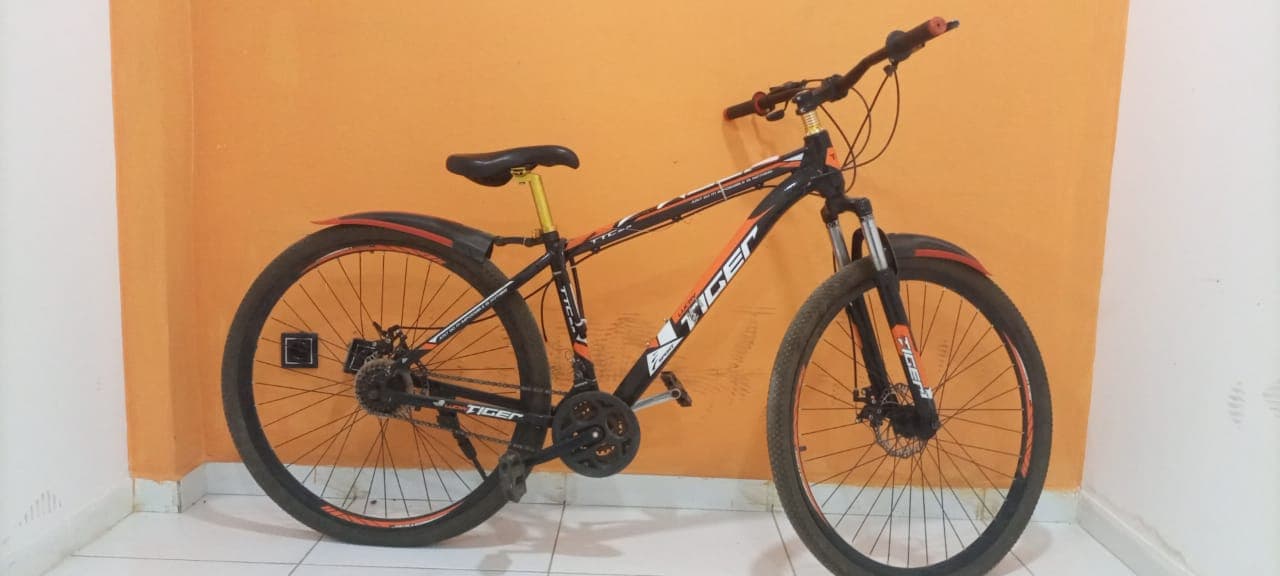 Vélo Lucky Tiger — image 5