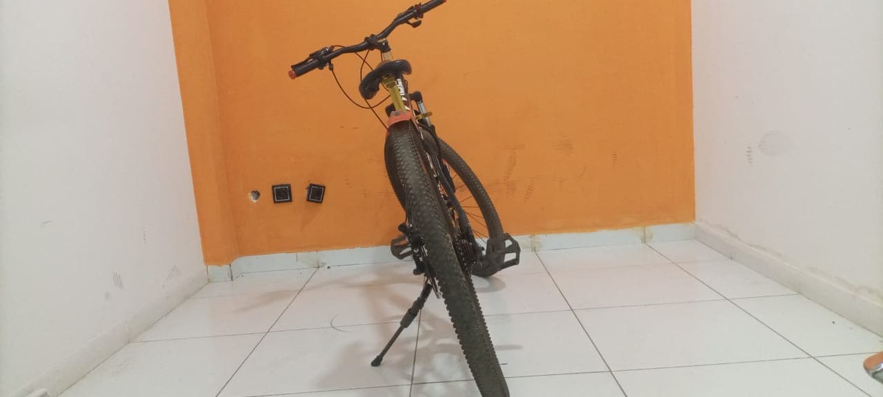 Vélo Lucky Tiger — image 6