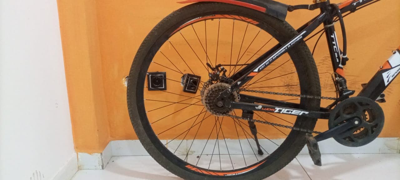 Vélo Lucky Tiger — image 2