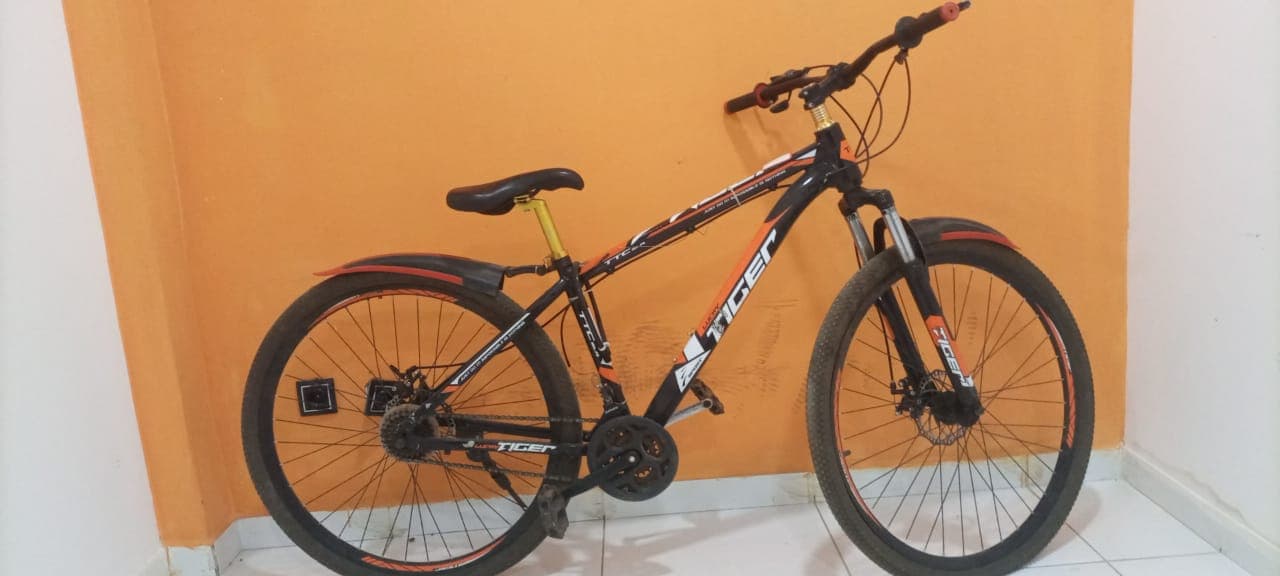 Bicicleta Lucky Tiger