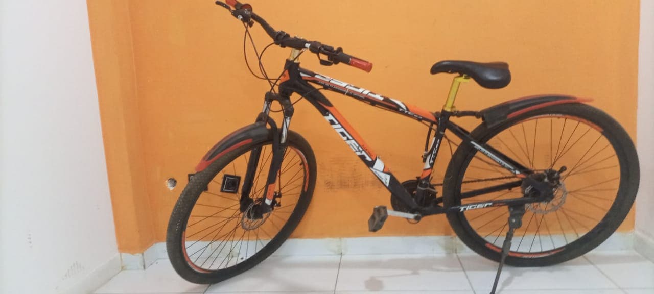 Vélo Lucky Tiger — image 4