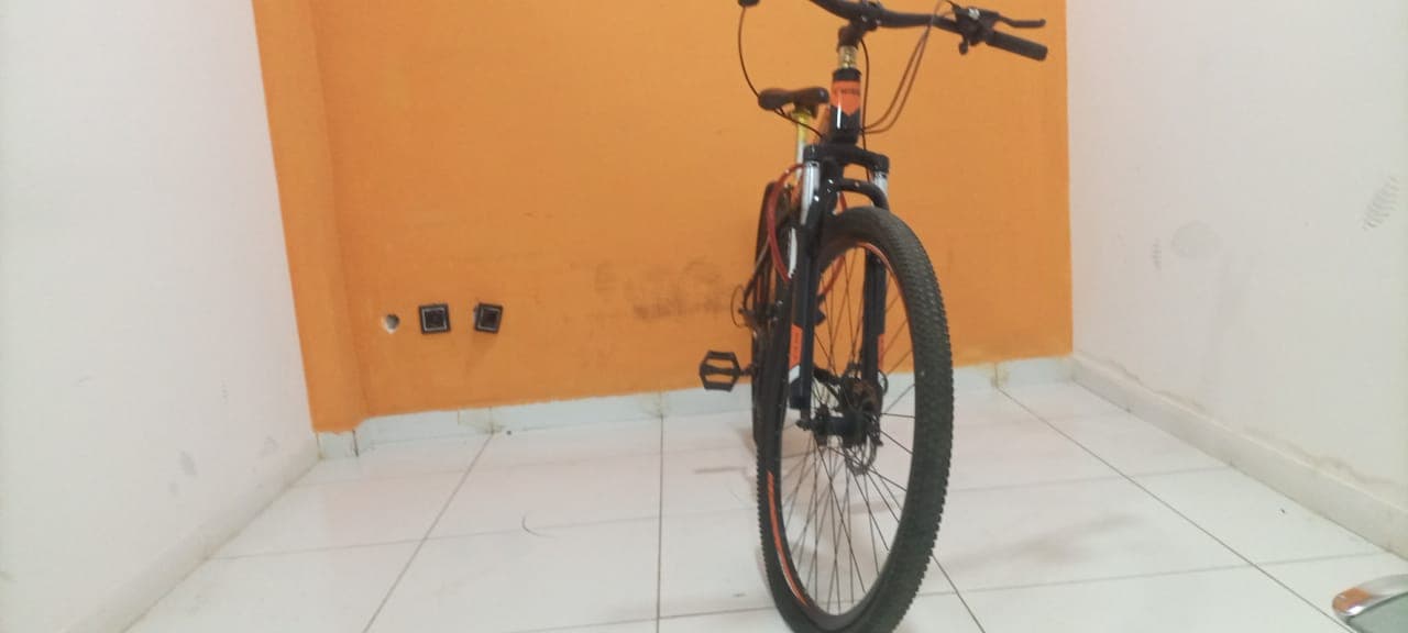 Bicicleta Lucky Tiger — imagen 6