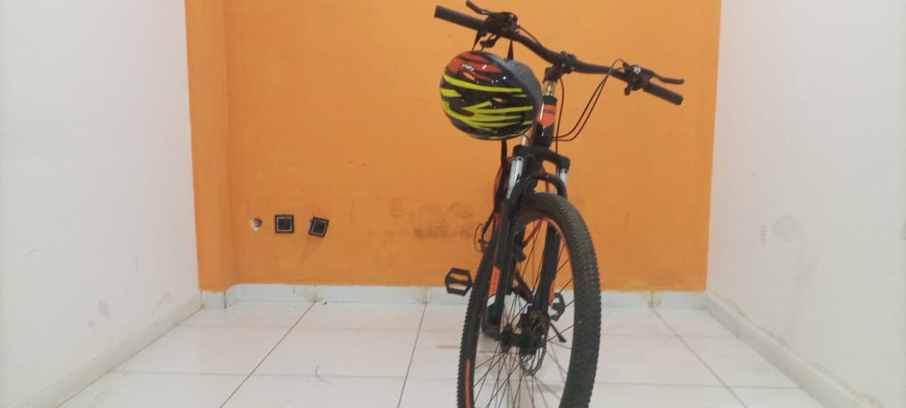 Bicicleta Lucky Tiger — imagen 4