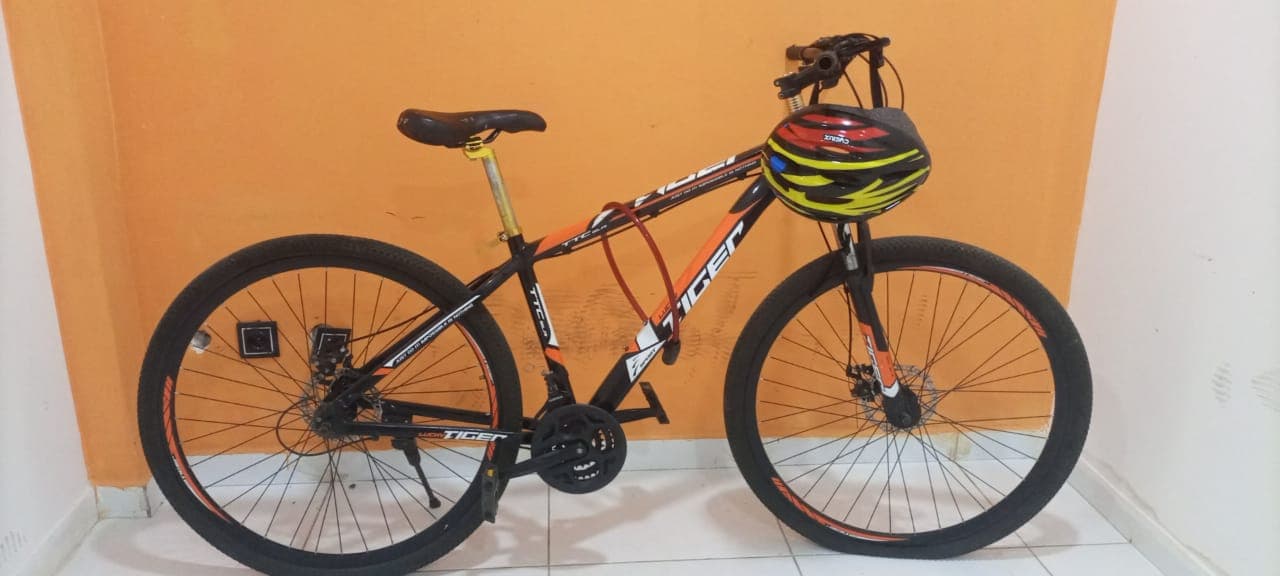 Bicicleta Lucky Tiger — imagen 3
