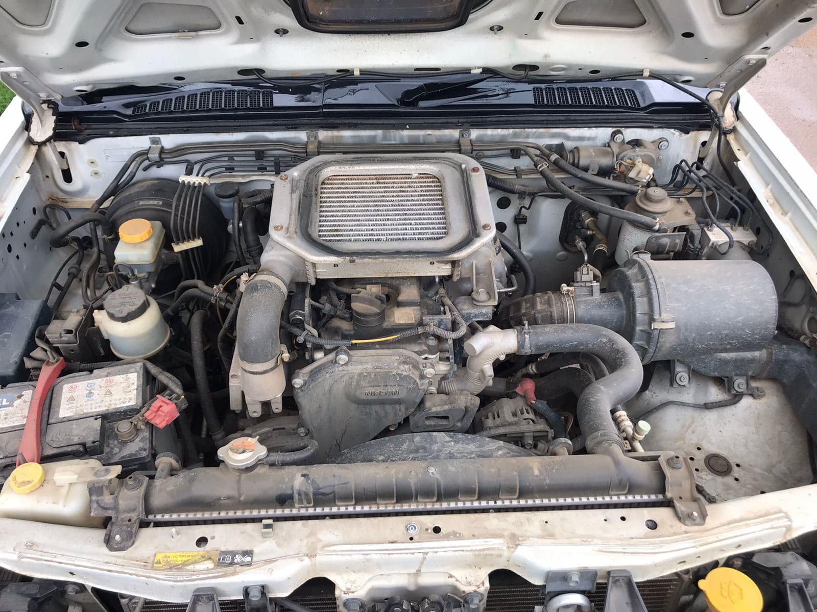 Nissan Hardbody — image 2