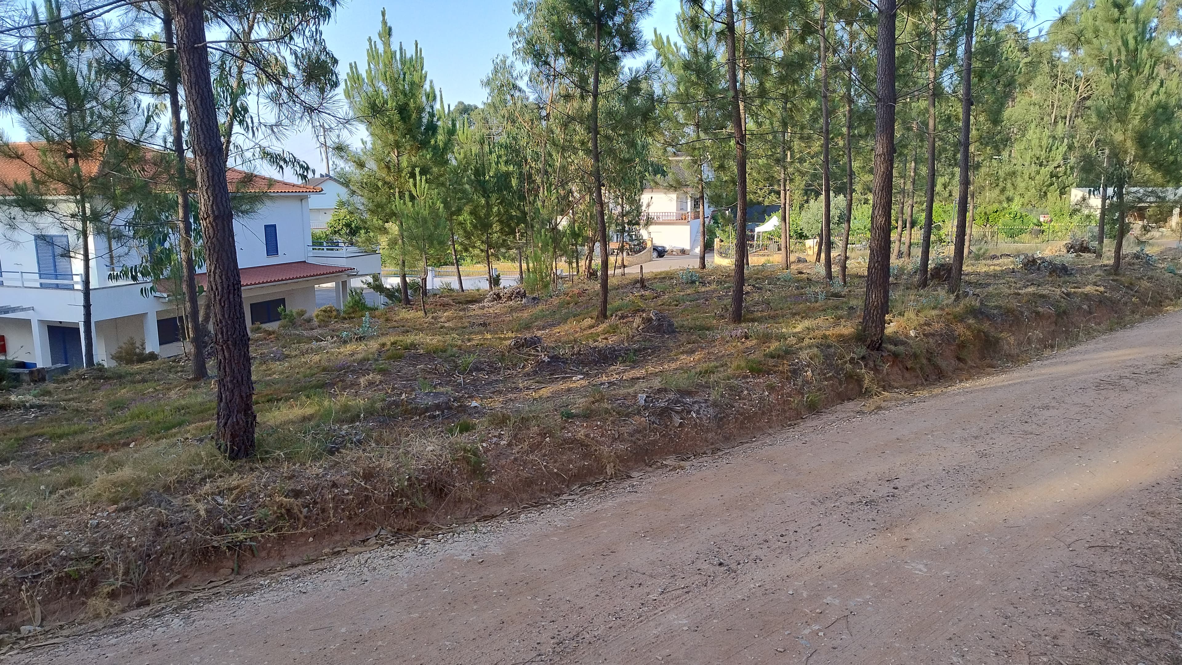 Terreno com Projeto Aprovado · Nossa Senhora da Piedade, Ourém — imagen 6