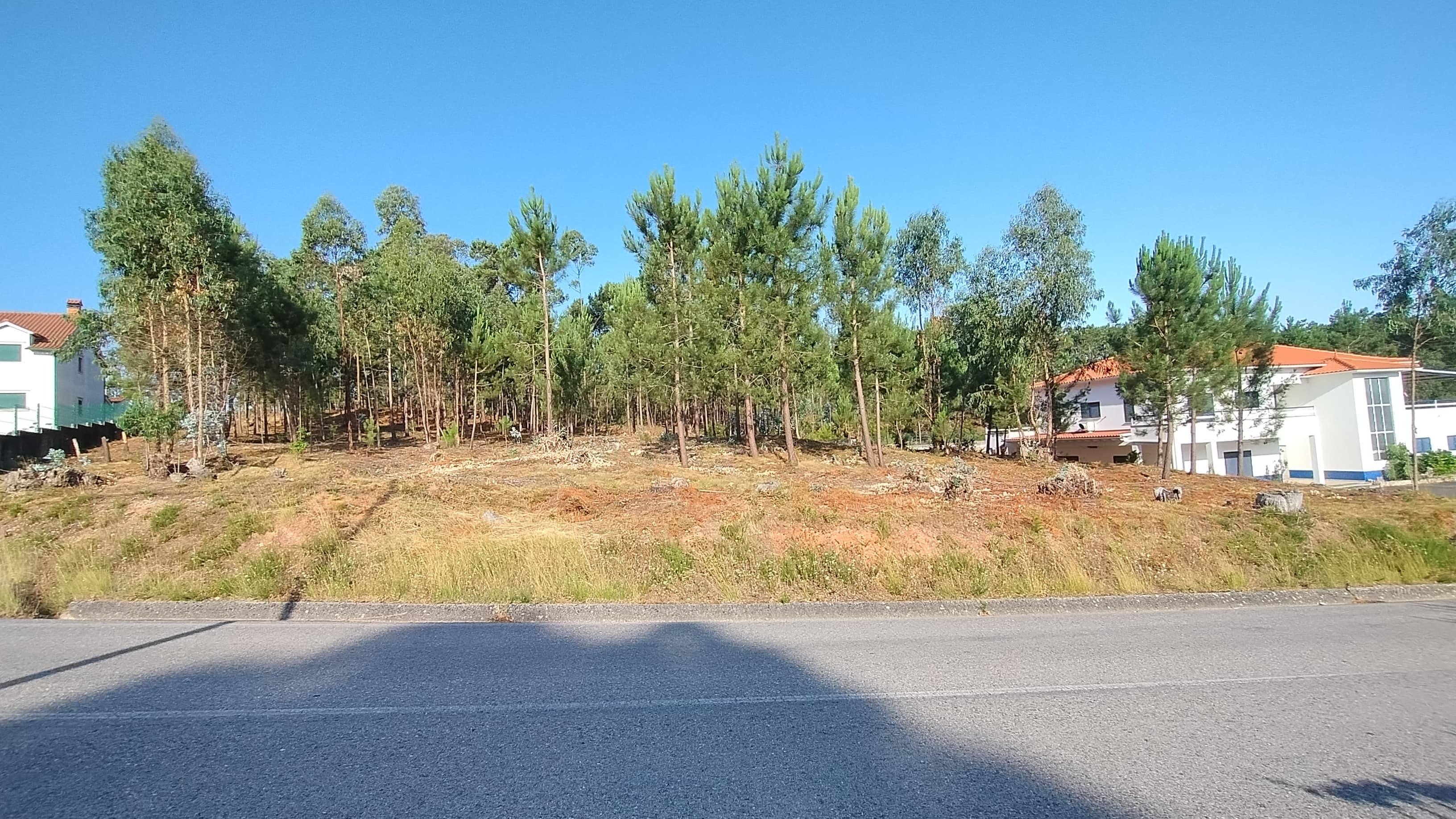 Terreno com Projeto Aprovado · Nossa Senhora da Piedade, Ourém — imagen 3