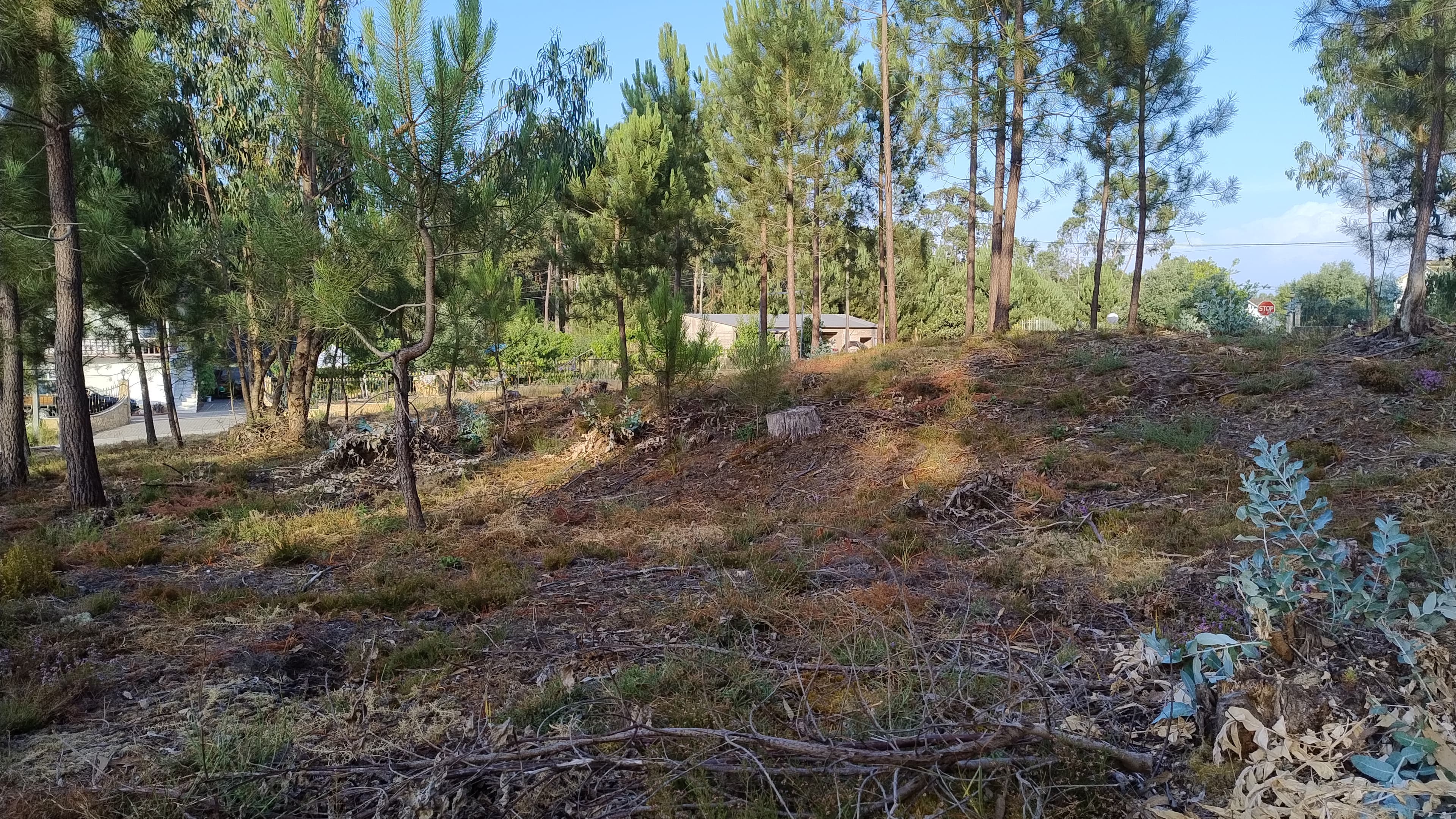Terreno com Projeto Aprovado · Nossa Senhora da Piedade, Ourém — imagen 5