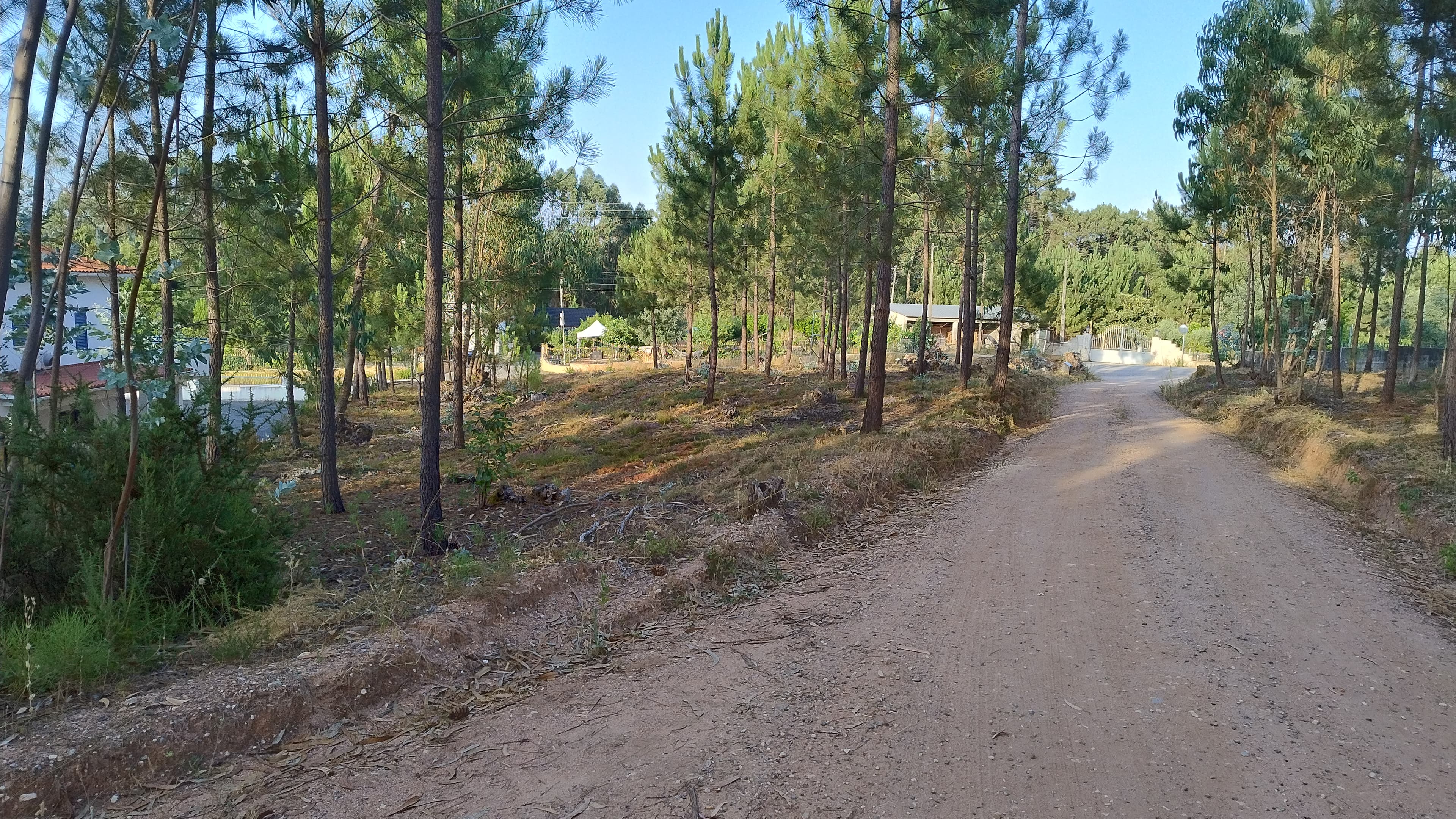 Terreno com Projeto Aprovado · Nossa Senhora da Piedade, Ourém — imagen 12