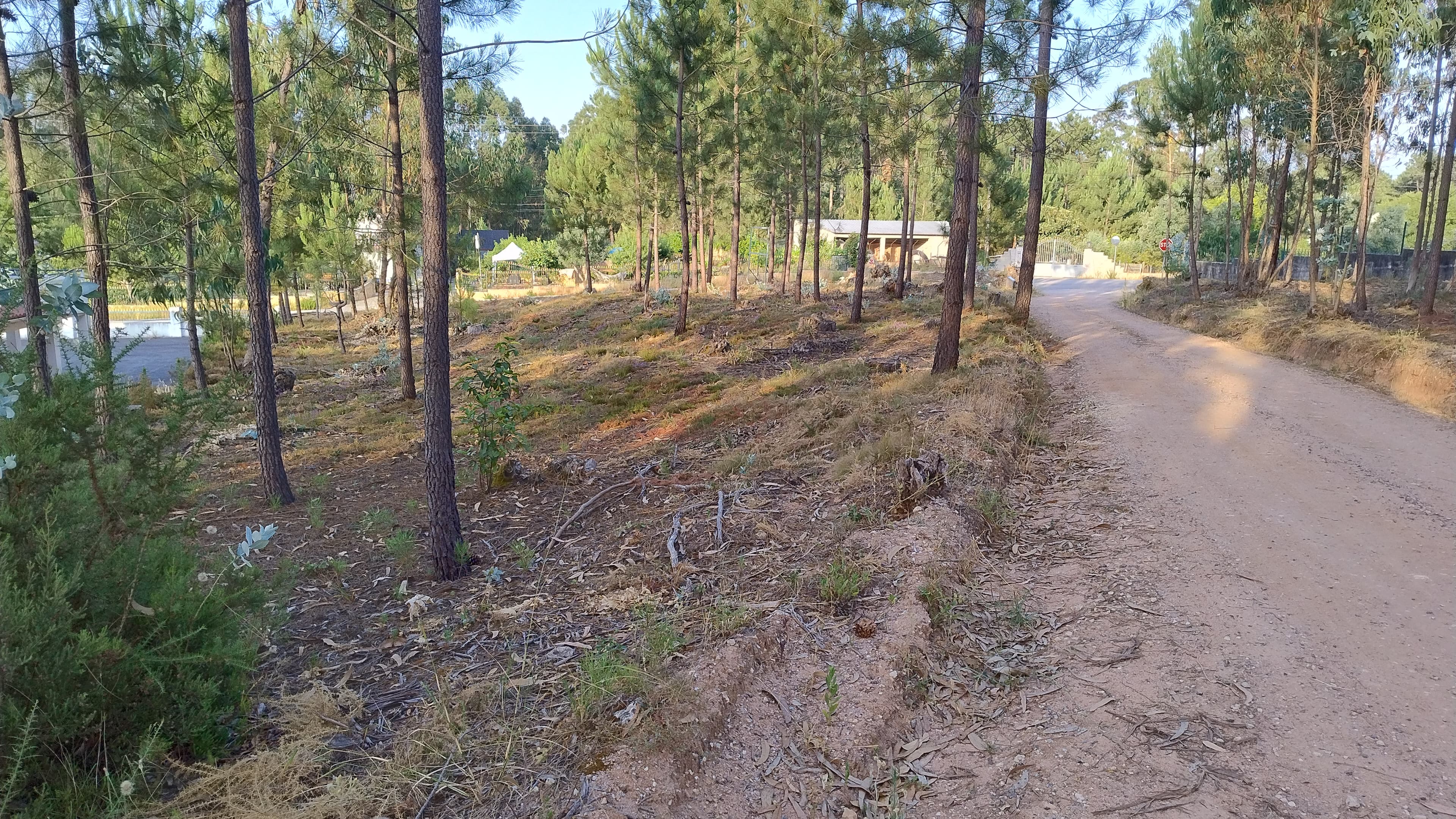 Terreno com Projeto Aprovado · Nossa Senhora da Piedade, Ourém — imagen 13