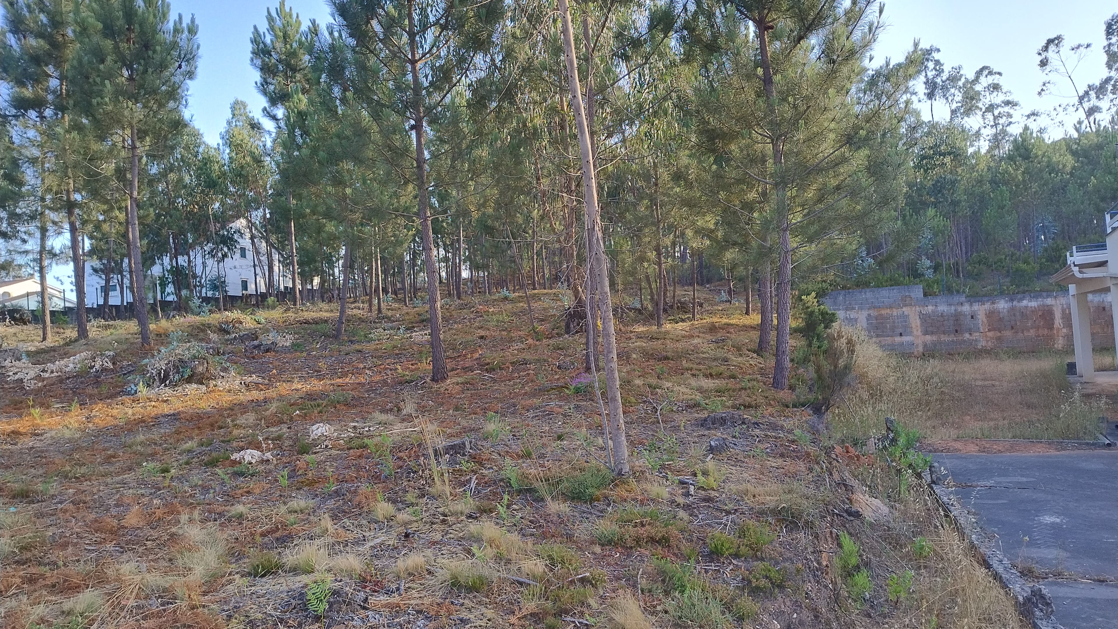 Terreno com Projeto Aprovado · Nossa Senhora da Piedade, Ourém — imagen 9