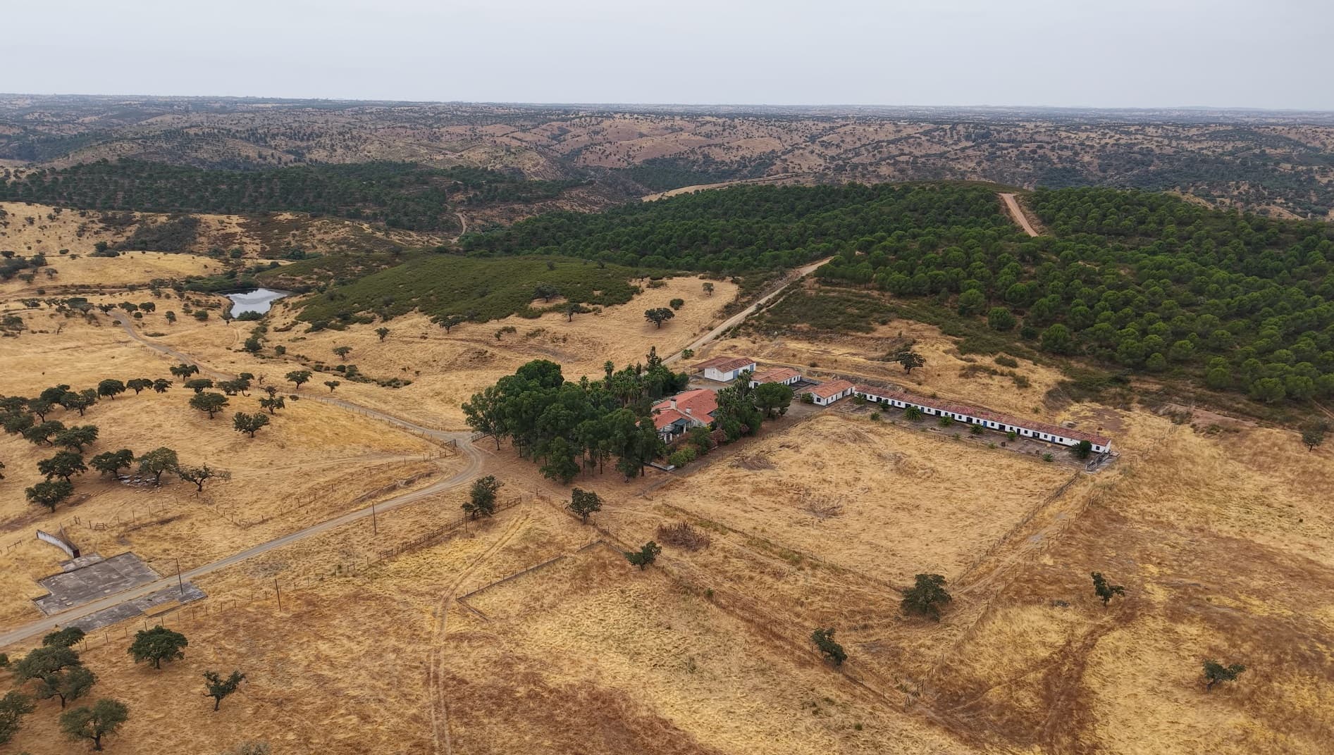 Herdade do Topo · "Monte da Janeila" · 210 hectares · Serpa — imagem 8