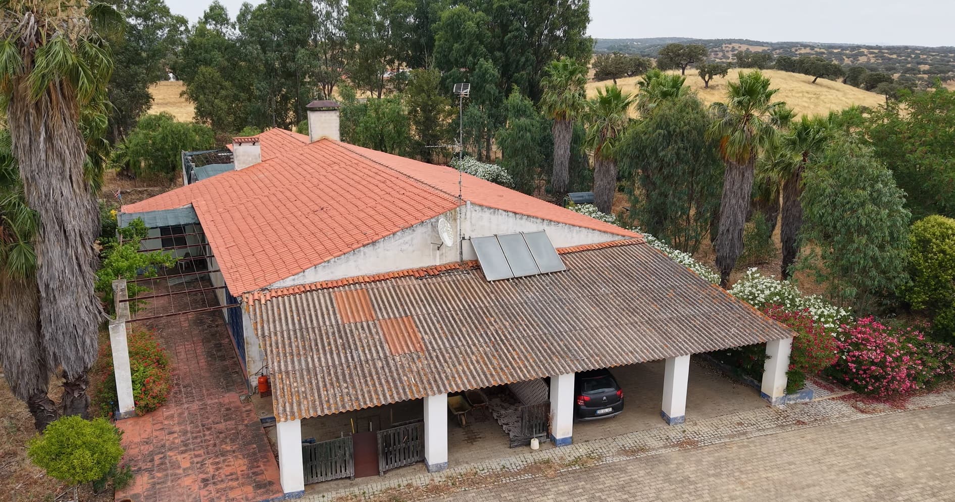 Herdade do Topo · "Monte da Janeila" · 210 hectares · Serpa — imagem 16