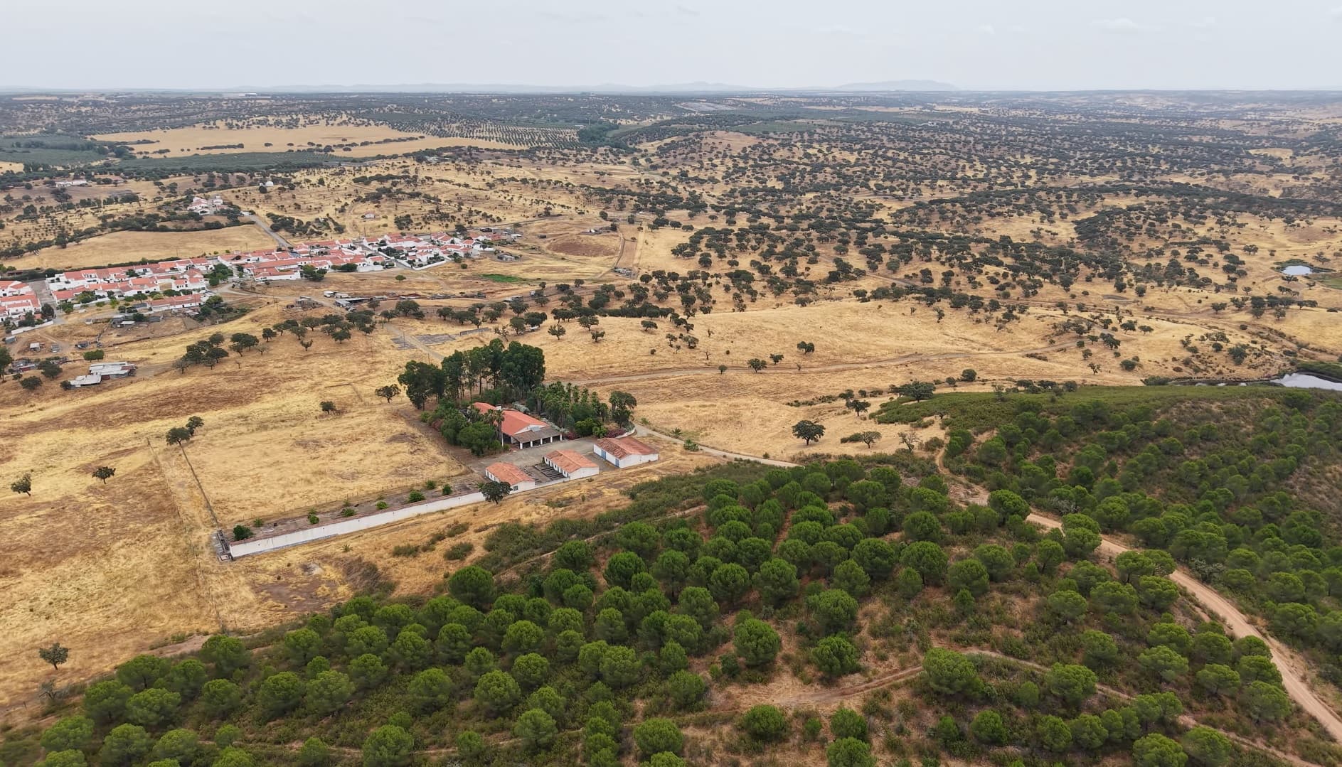 Herdade do Topo · "Monte da Janeila" · 210 hectares · Serpa — imagem 5