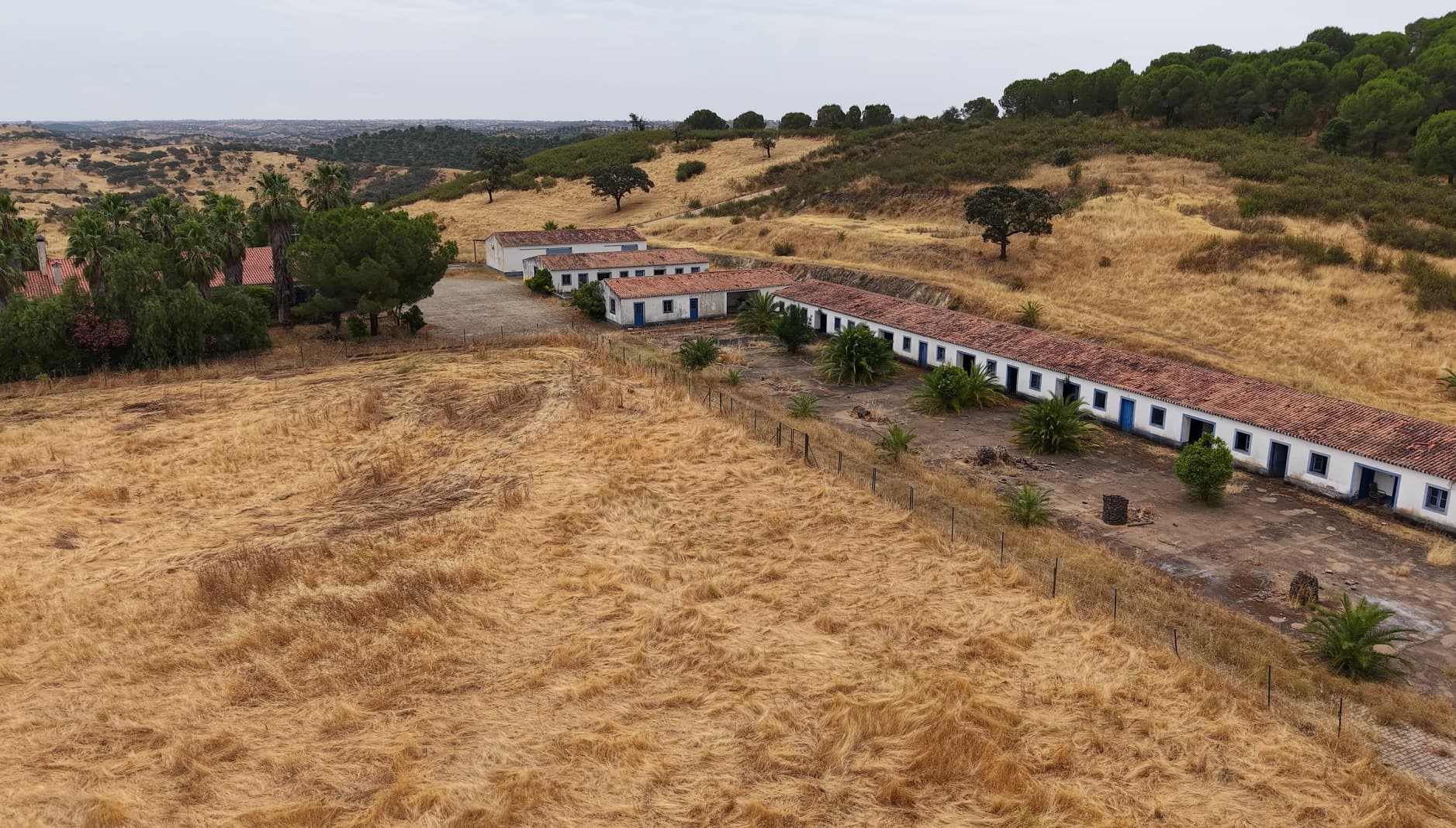 Herdade do Topo · "Monte da Janeila" · 210 hectares · Serpa — imagem 15